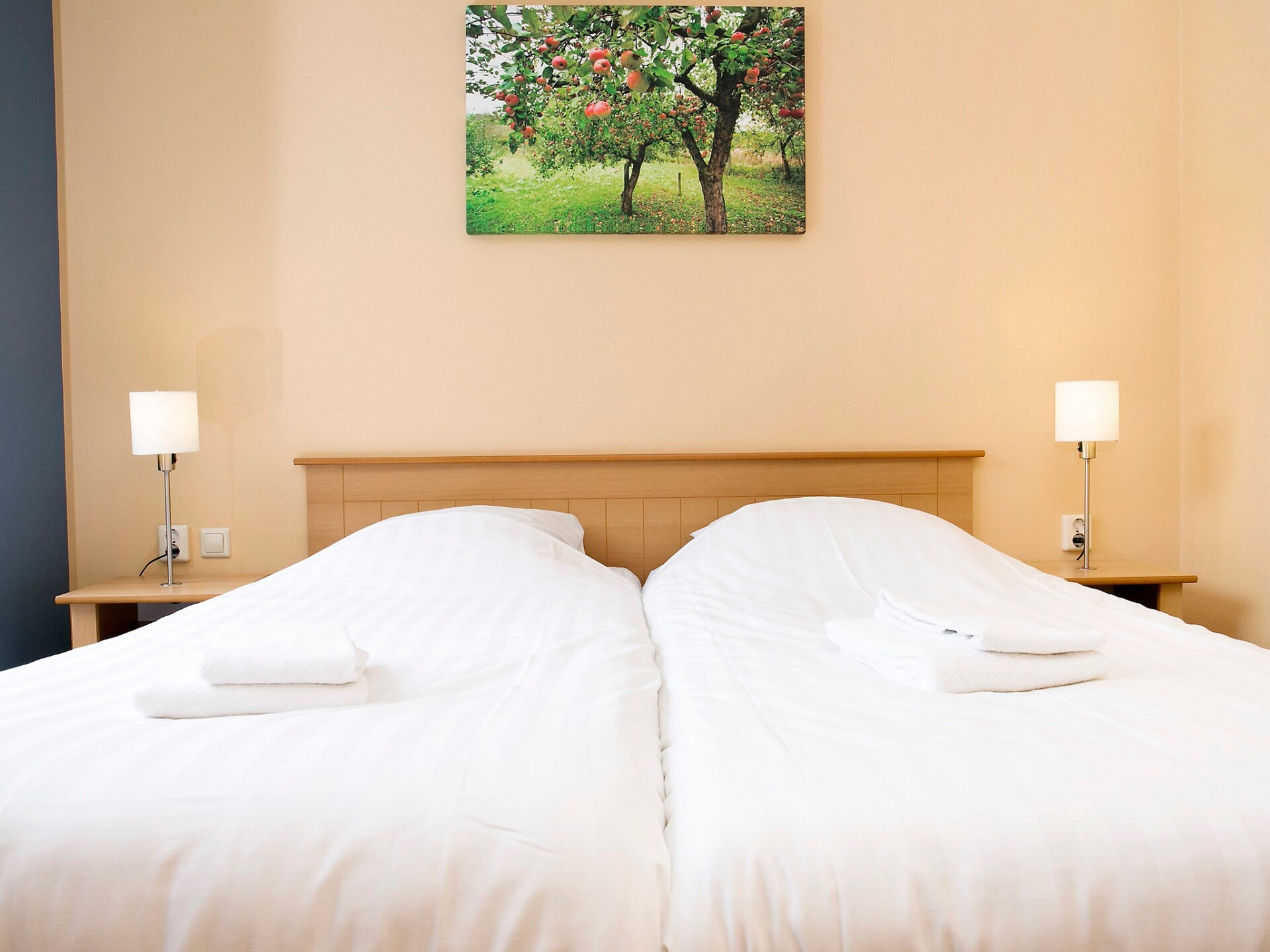Comfort bungalow – Max 6 personen – nummer 49 - foto 10