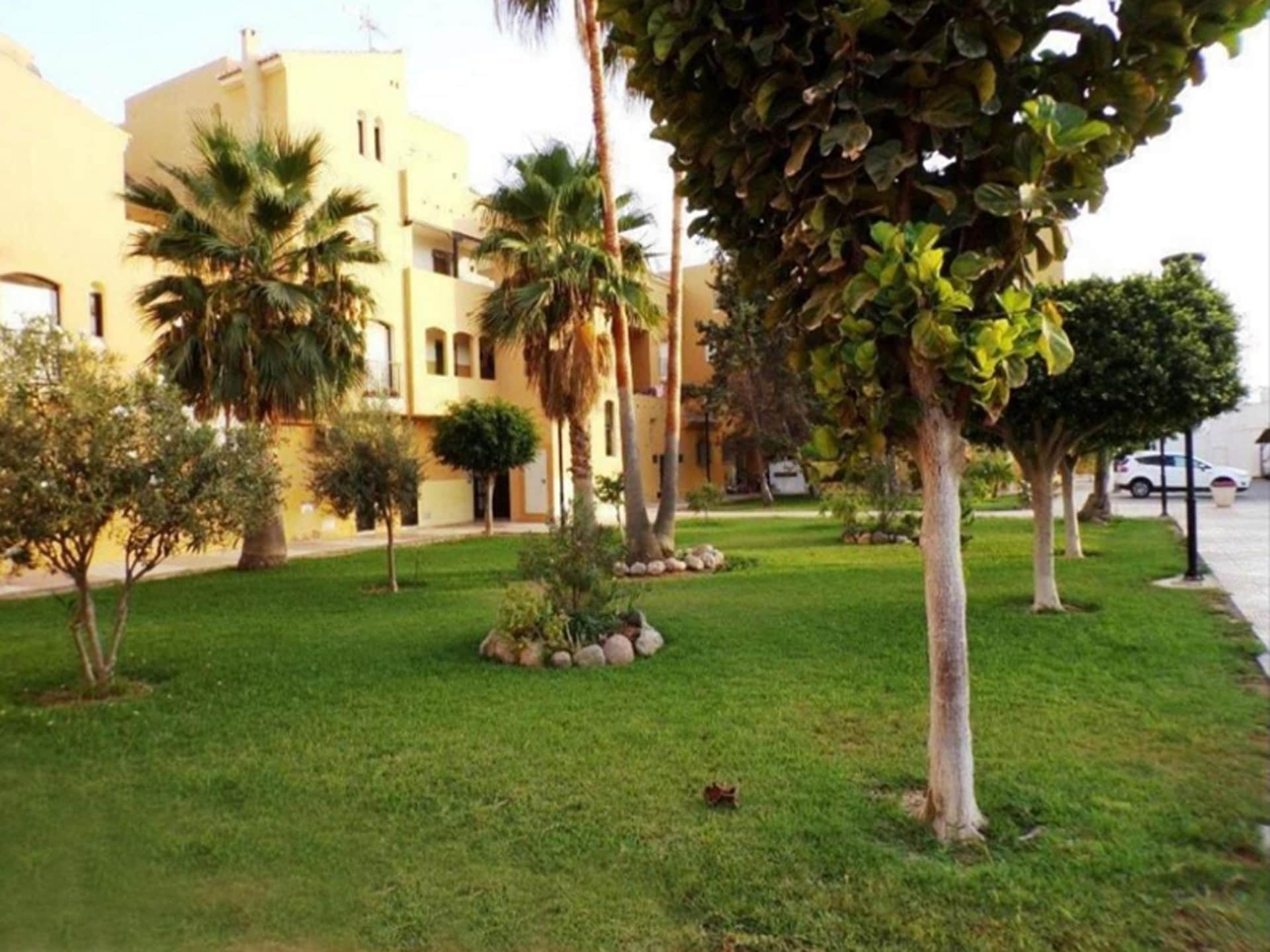 Vakantiehuis aan het strand in Roquetas de Mar - foto 7