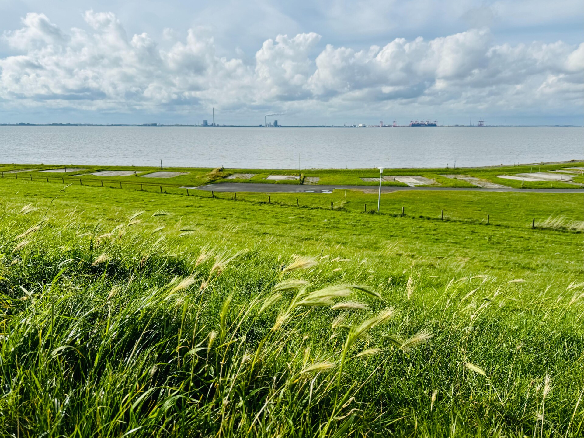 Knus vakantiehuis bij het strand van Tossens met omheinde tuin - foto 23