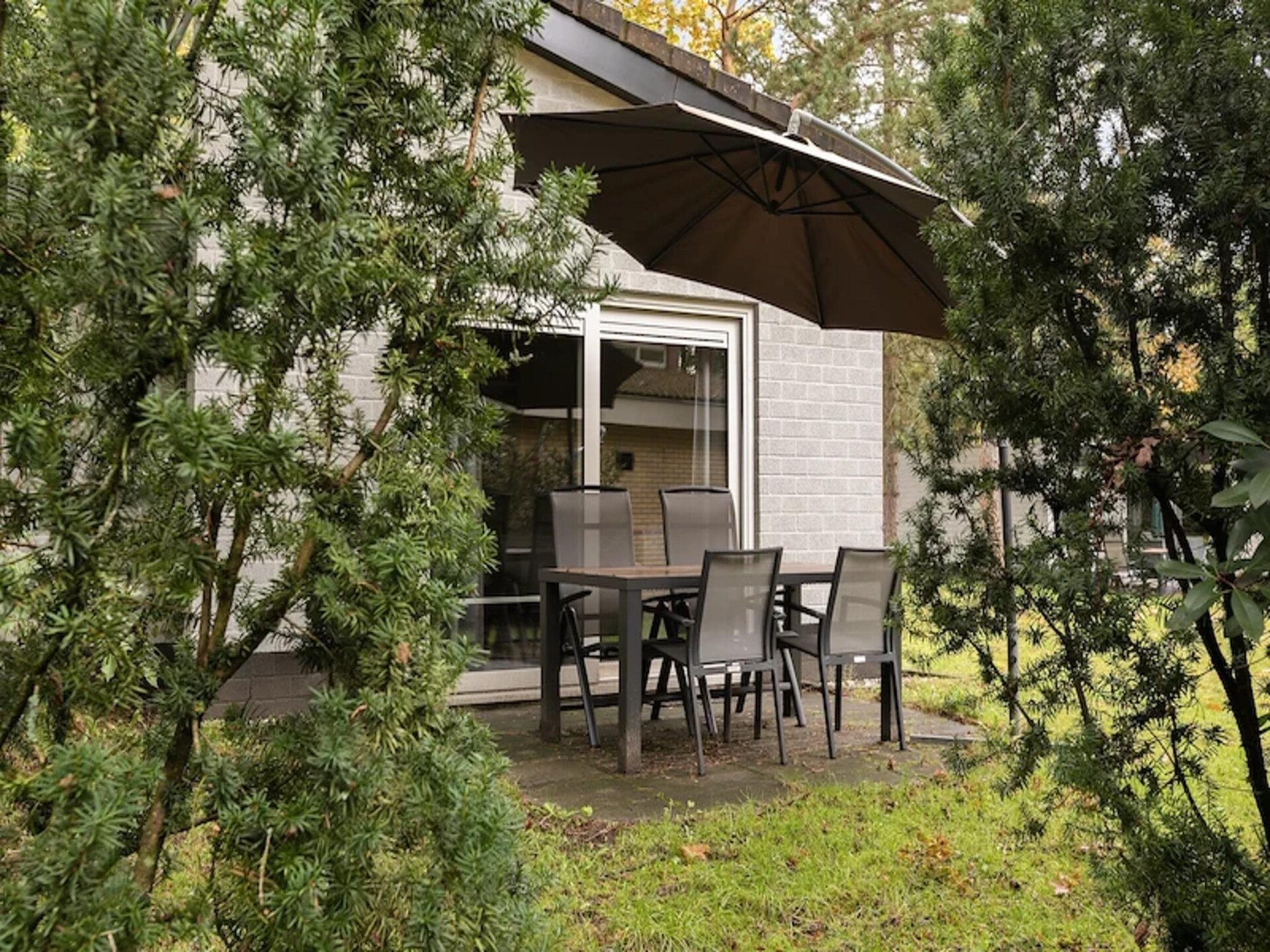 Comfortabele bungalow met sauna op de Veluwe, omgeven door bos - foto 4