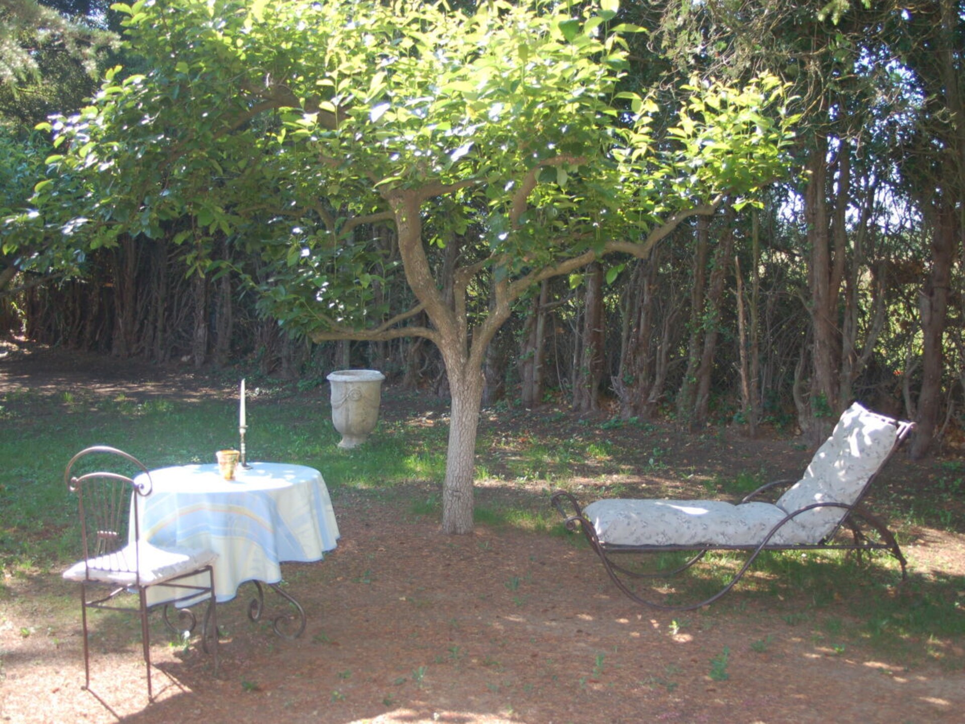 Sfeervol vakantiehuis in Cavaillon met zwembad en tuin - foto 19