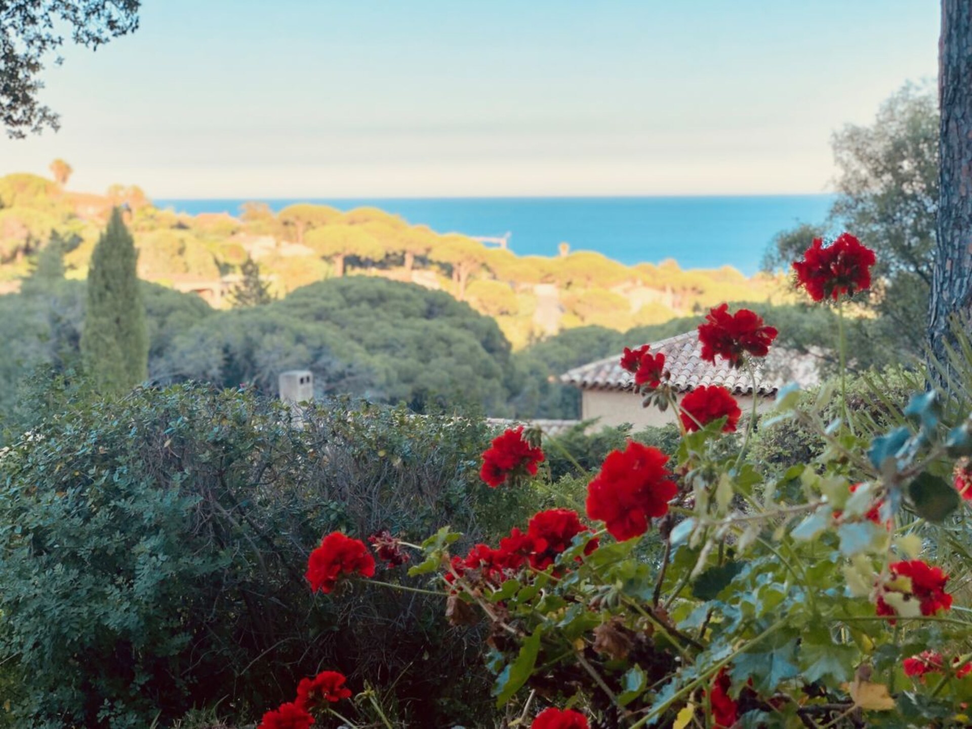 Ruime villa met privézwembad en zeezicht in Sainte-Maxime, 3 km van het strand - foto 32