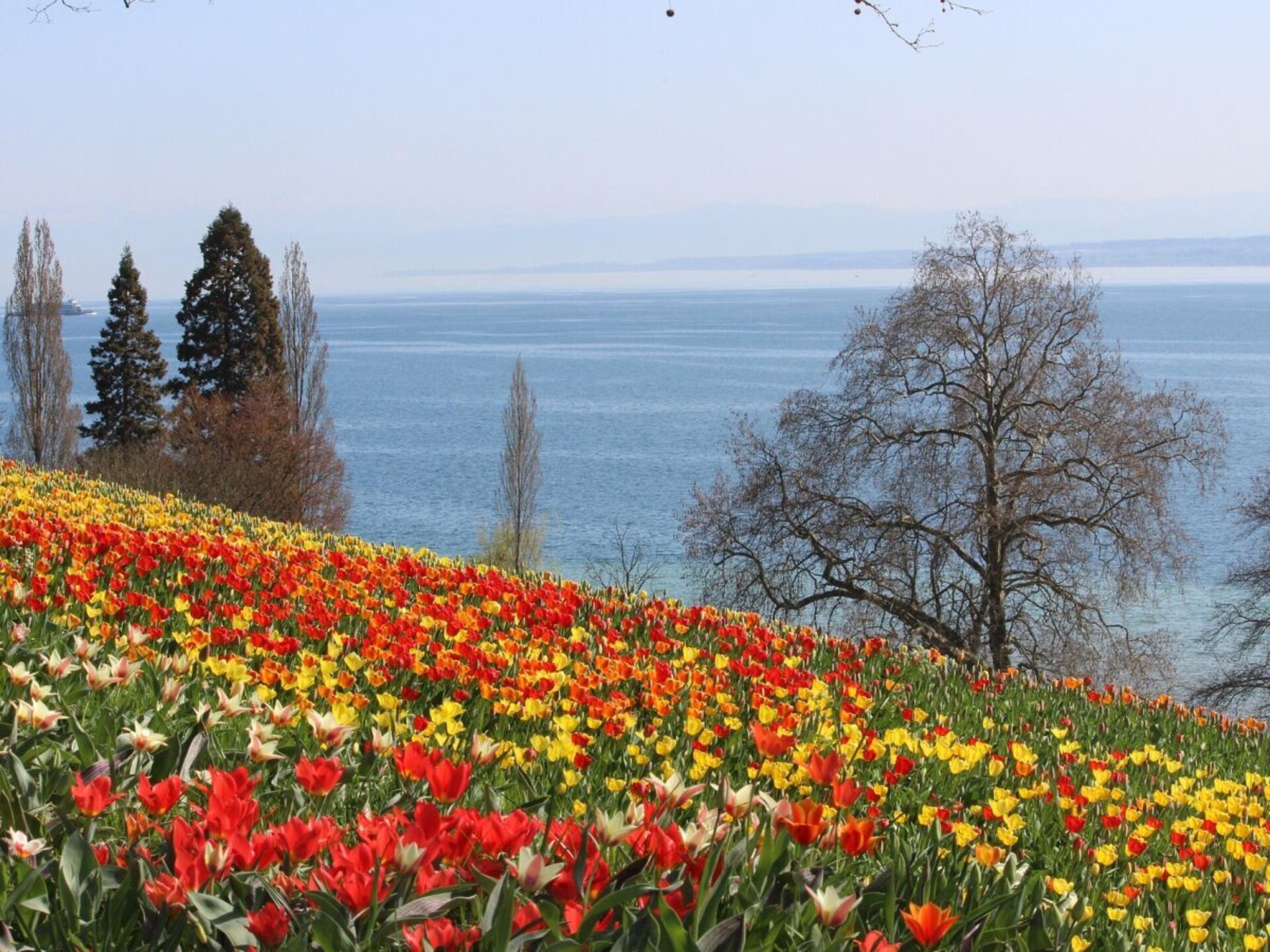 Rustiek appartement nabij de Bodensee met balkon en bergzicht in Hörbranz - foto 26