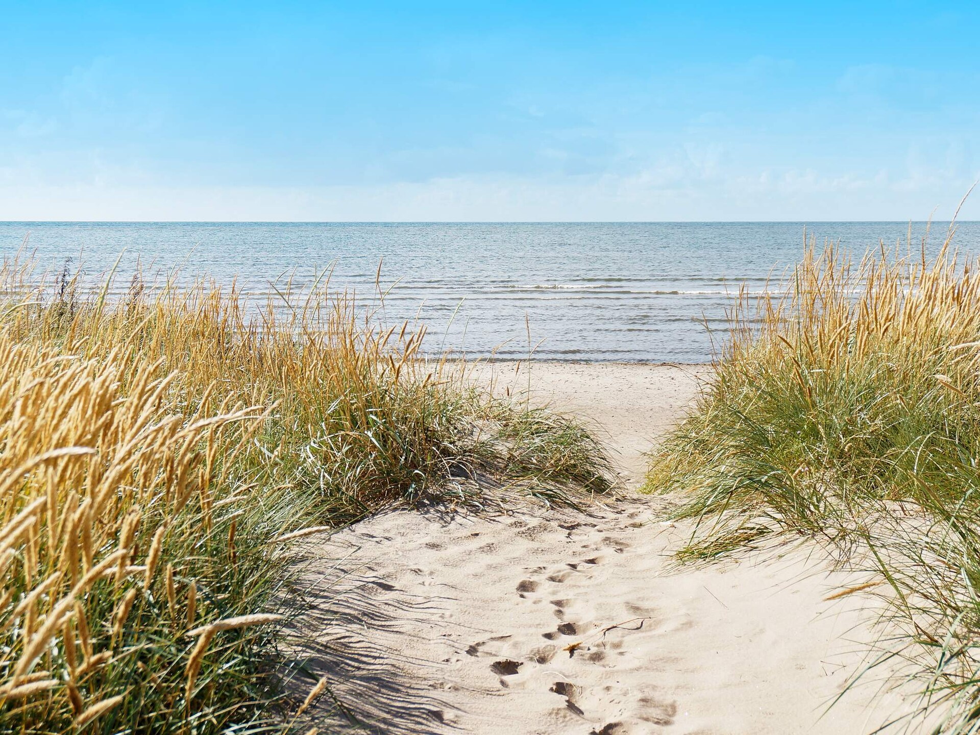Vakantiehuis op 1,0 km van zee in rustig Falkenberg - foto 22
