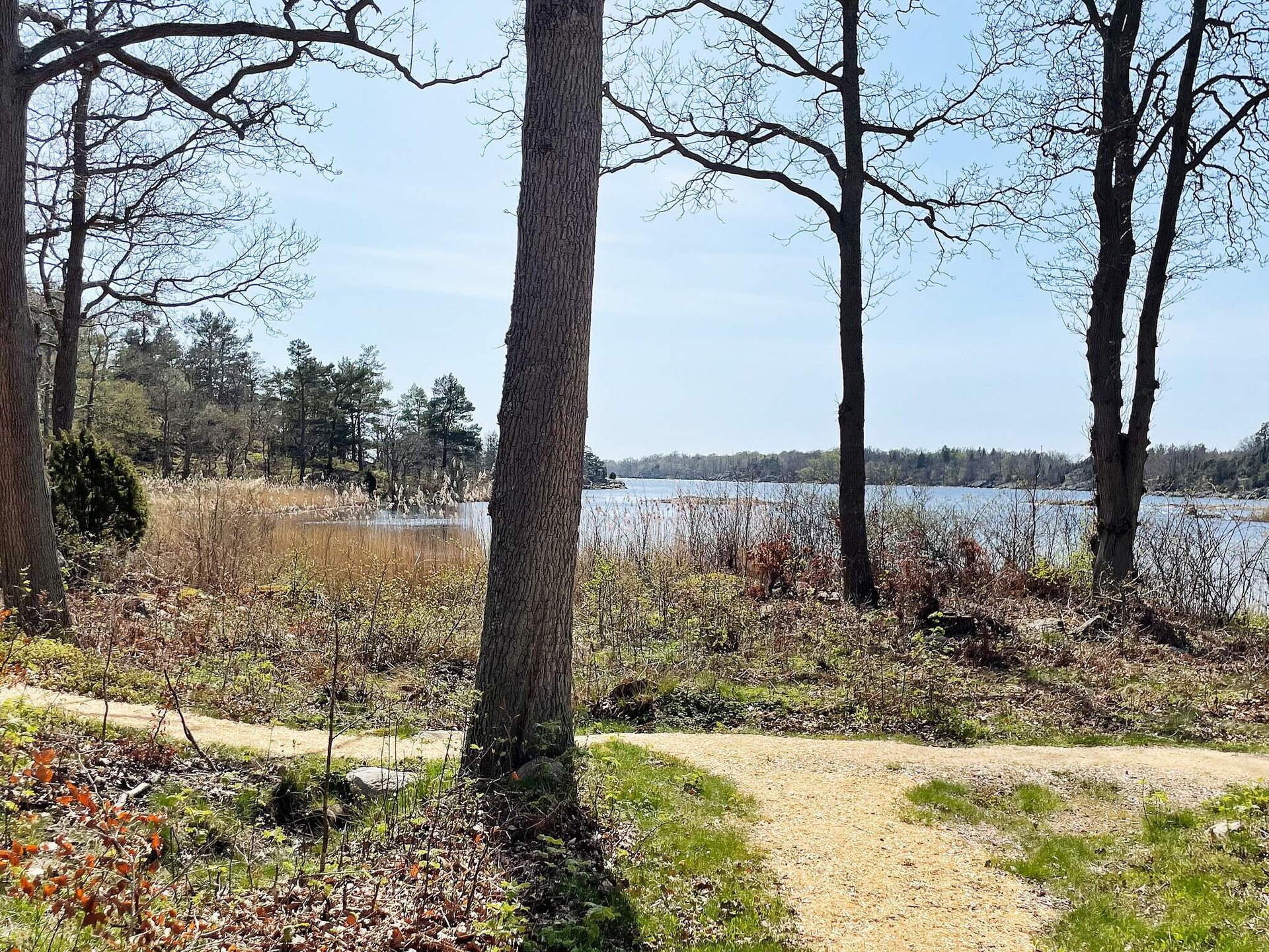 Vakantiehuis aan het meer in Ronneby voor 6 personen - foto 14