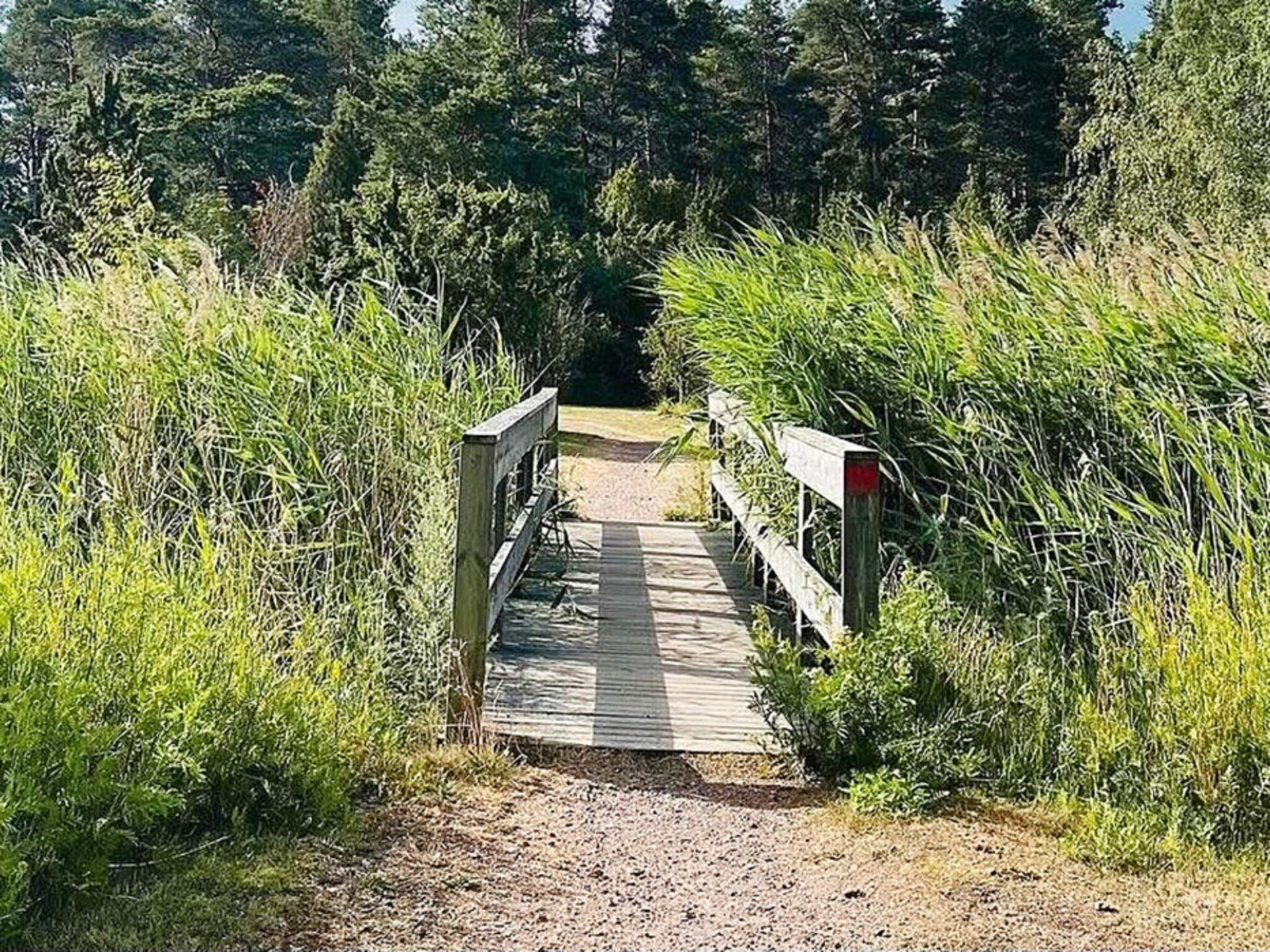 Licht vakantiehuis op Oknö met sauna, vlakbij zee en golfbaan - foto 14
