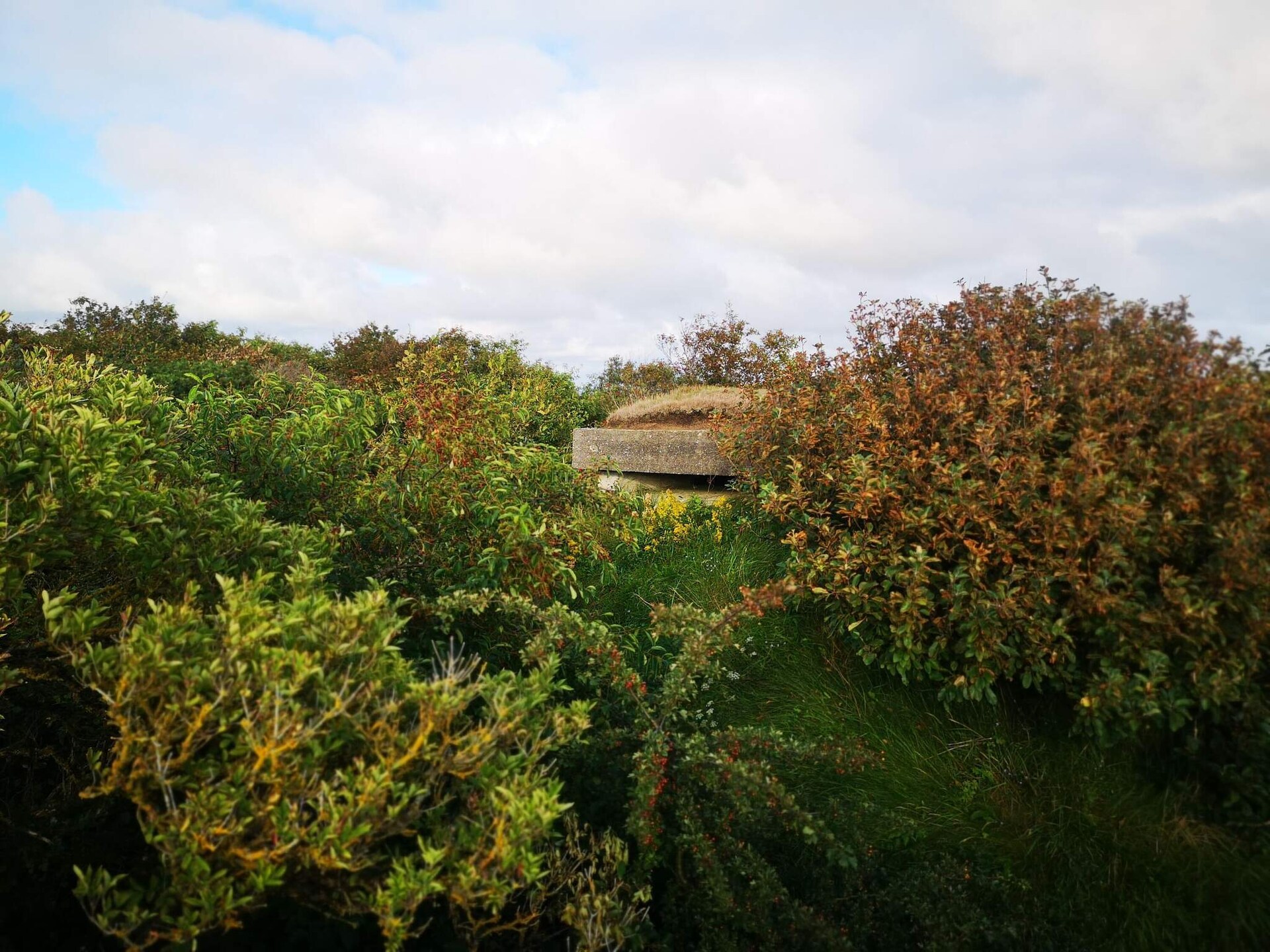 Vrijstaand vakantiehuis bij Ringkøbing Fjord, 600m van zee - foto 4