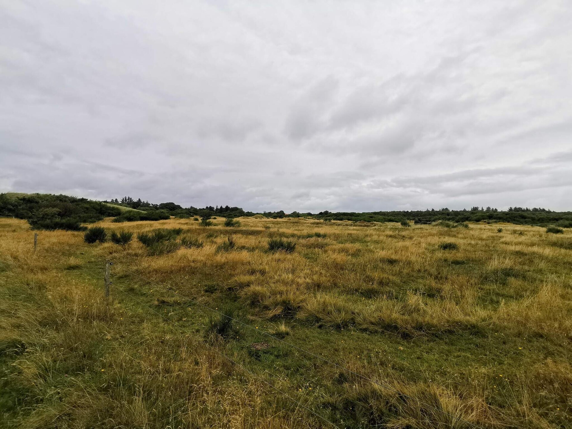 Vrijstaand vakantiehuis bij Ringkøbing Fjord, 600m van zee - foto 6