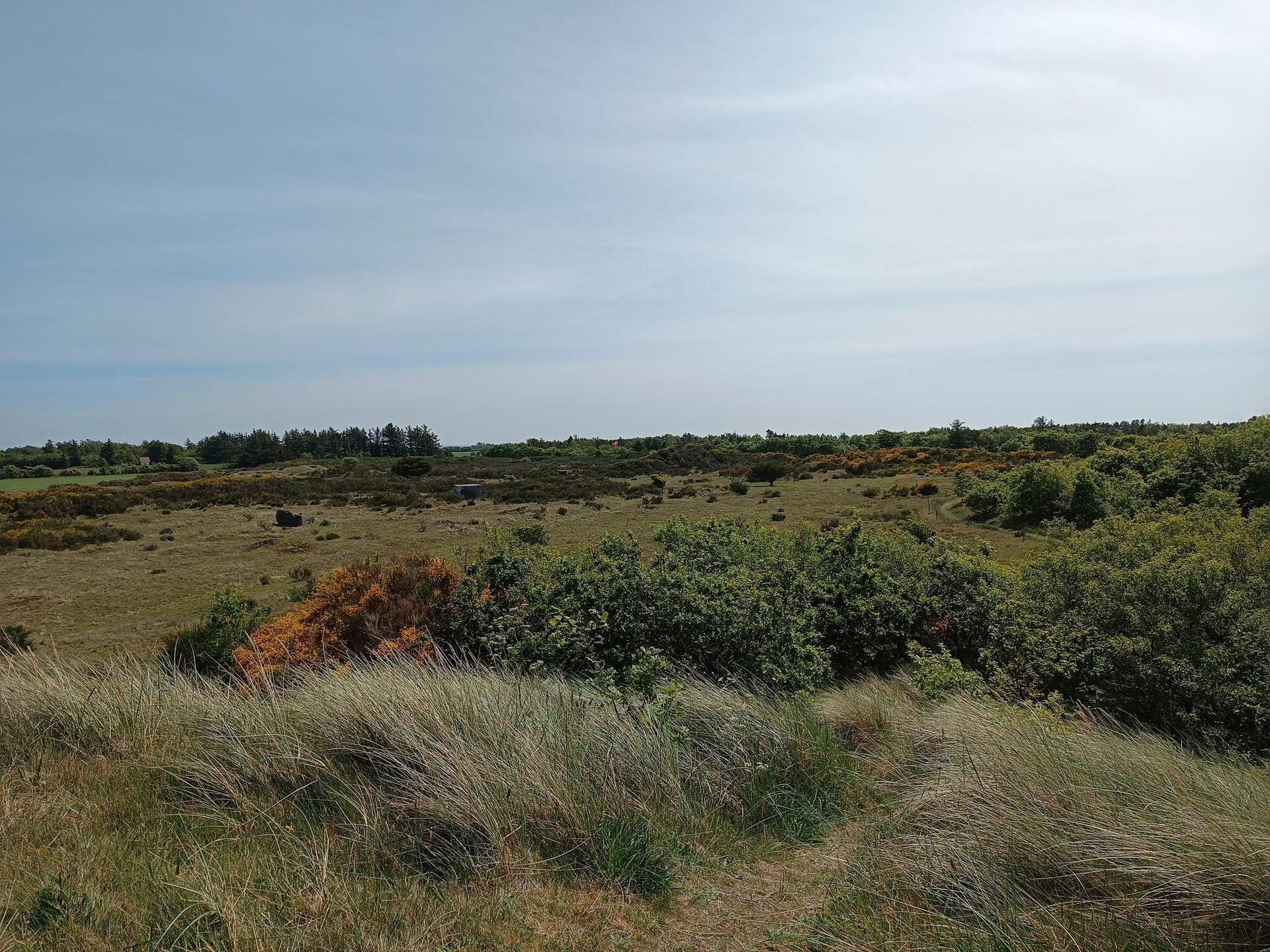 Vrijstaand vakantiehuis bij Ringkøbing Fjord, 600m van zee - foto 7