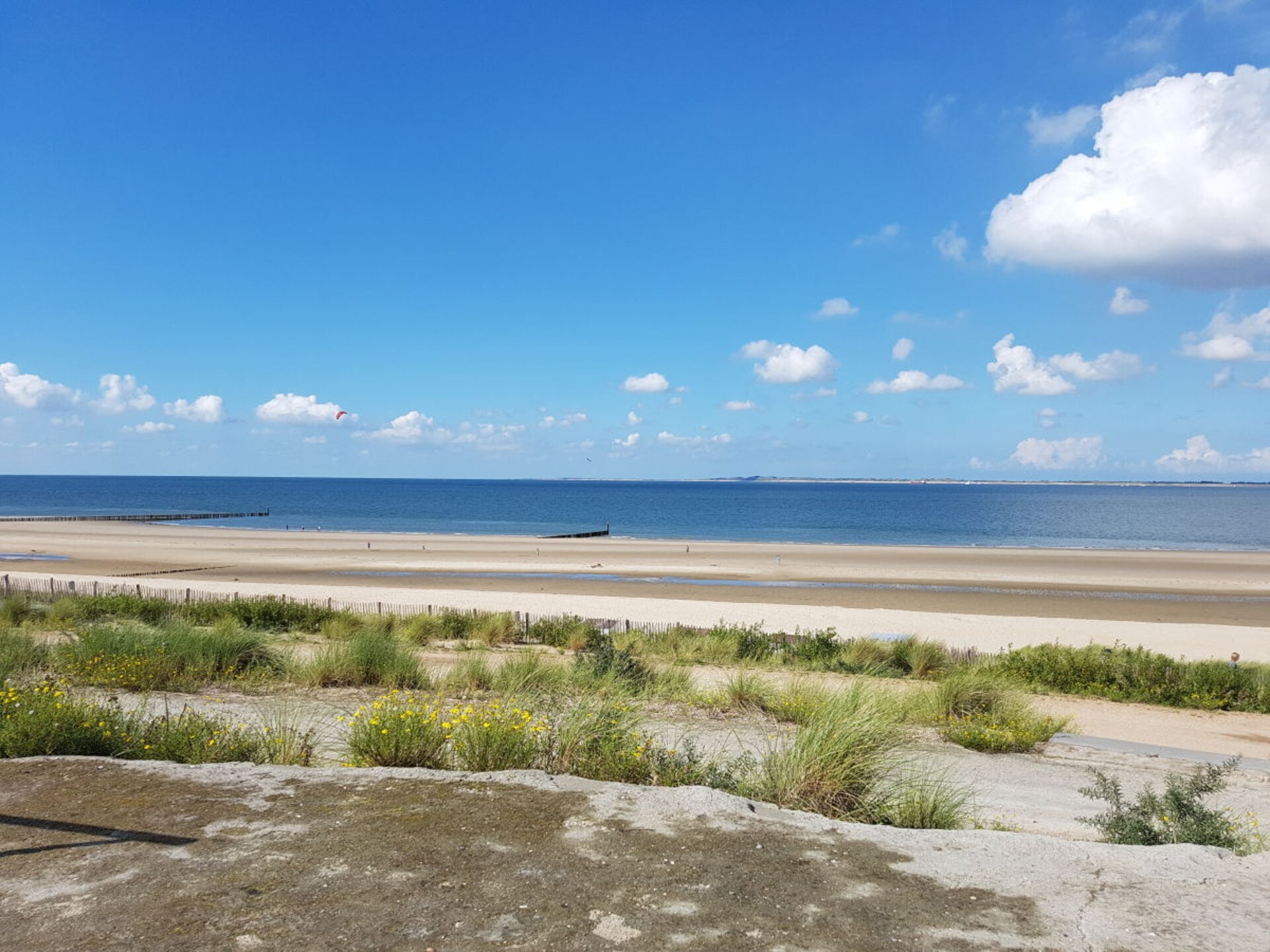 Luxe vakantiehuis met sauna en haard in vissersdorp Breskens, 2km van zee - foto 31