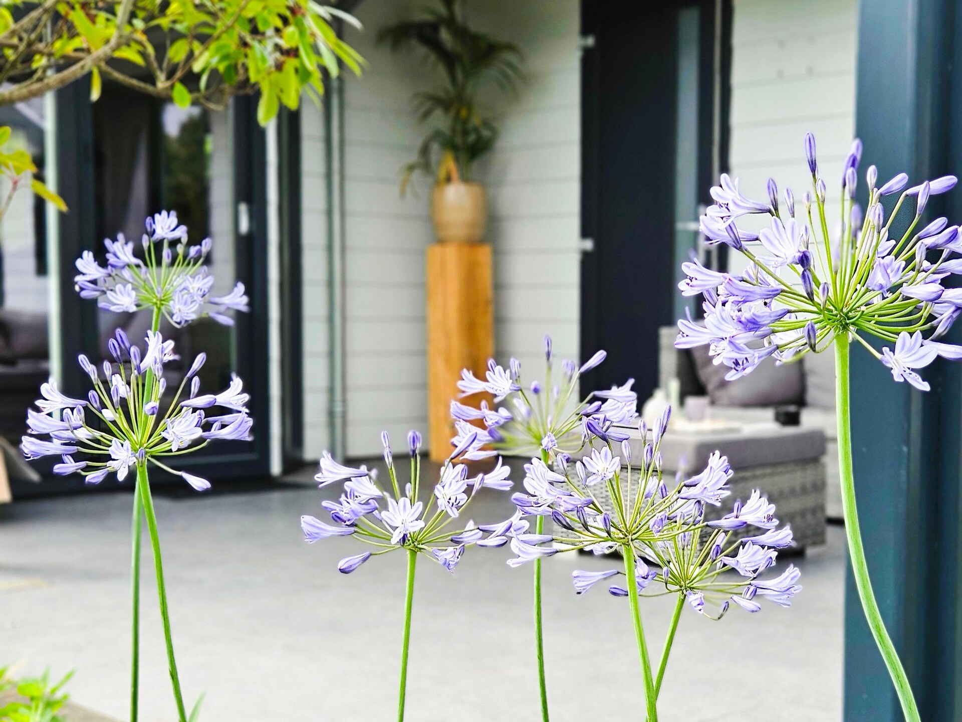 Bamboo House op de Veluwe: wellnessvilla aan rustig water voor 7 personen - foto 31