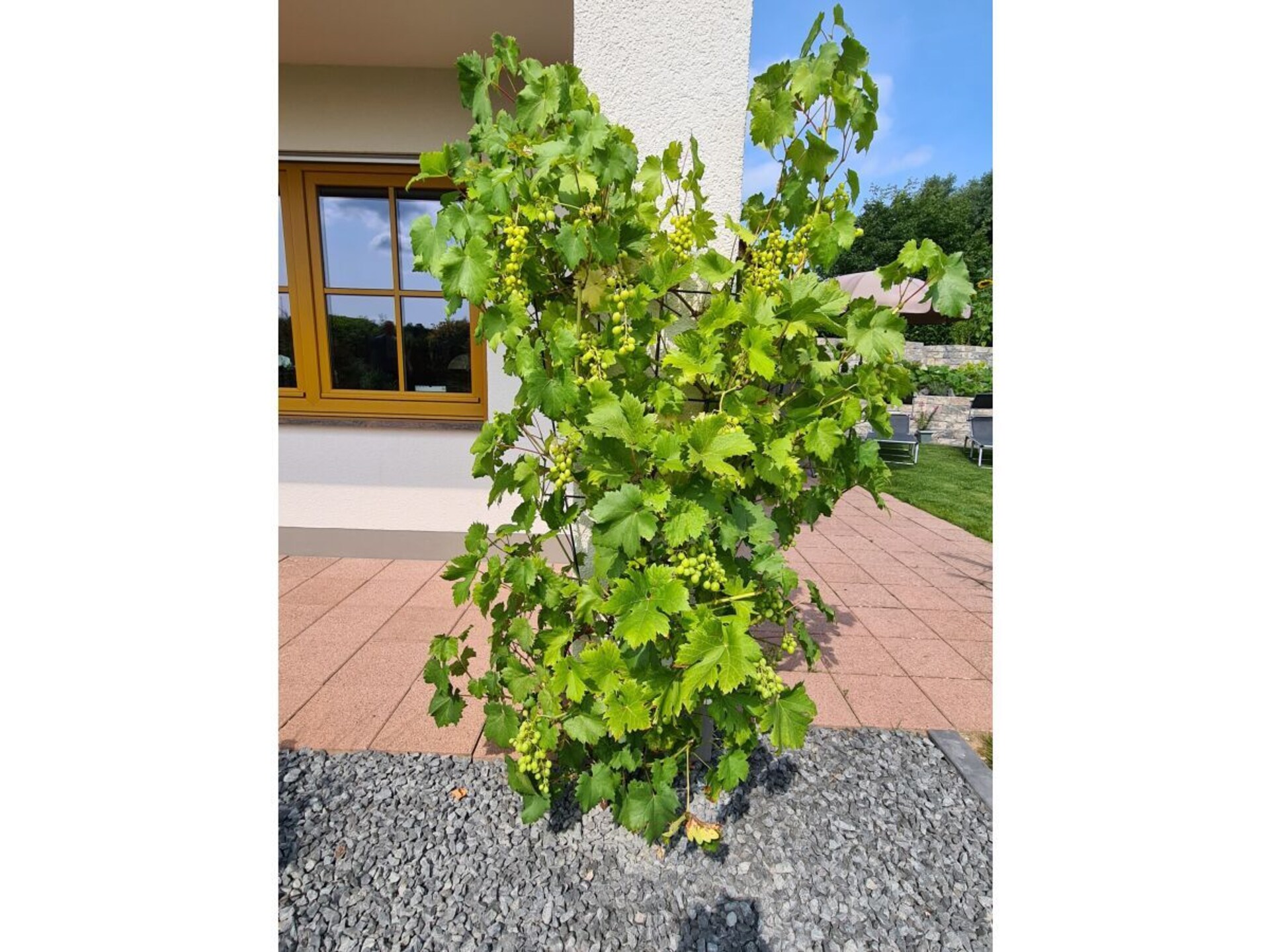 Knus appartement met WiFi op een rustige hoogte nabij Bernkastel-Kues - foto 10