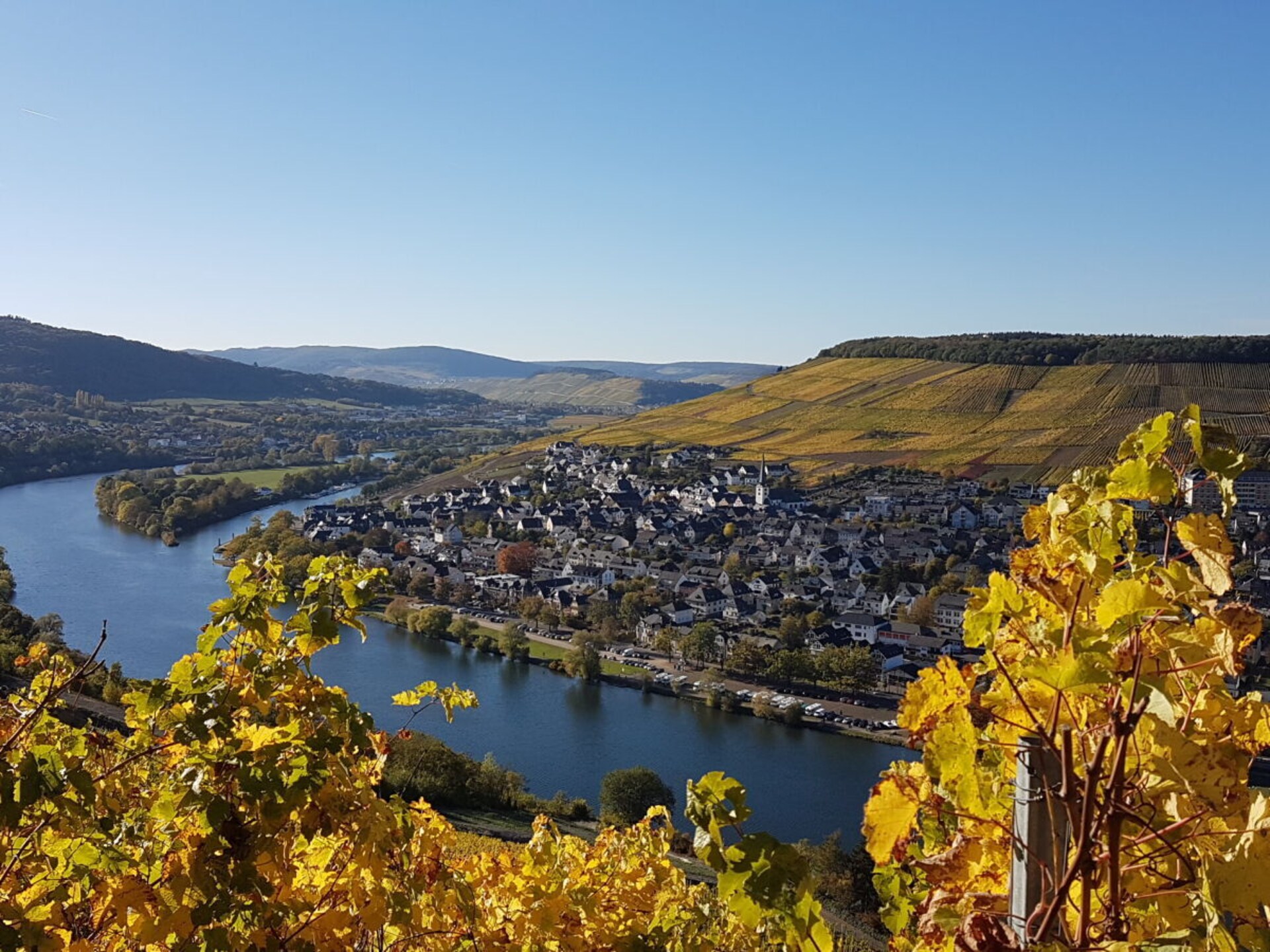 Knus appartement met WiFi op een rustige hoogte nabij Bernkastel-Kues - foto 36