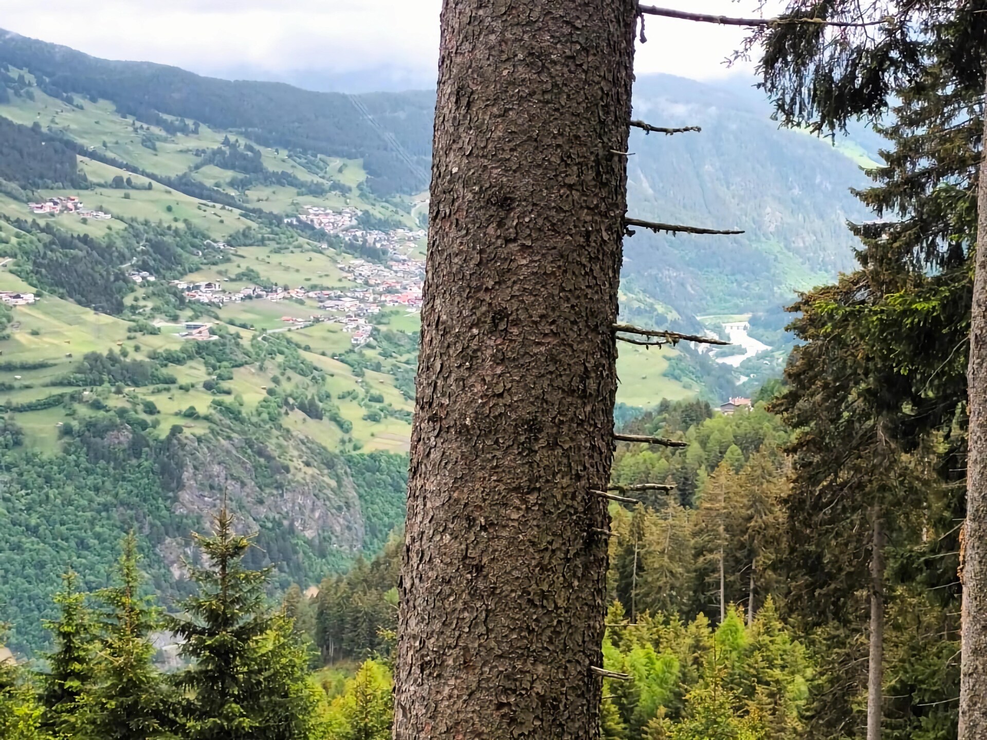 Venetblick: Gezellig appartement in Hochgallmigg met panoramisch uitzicht - foto 20
