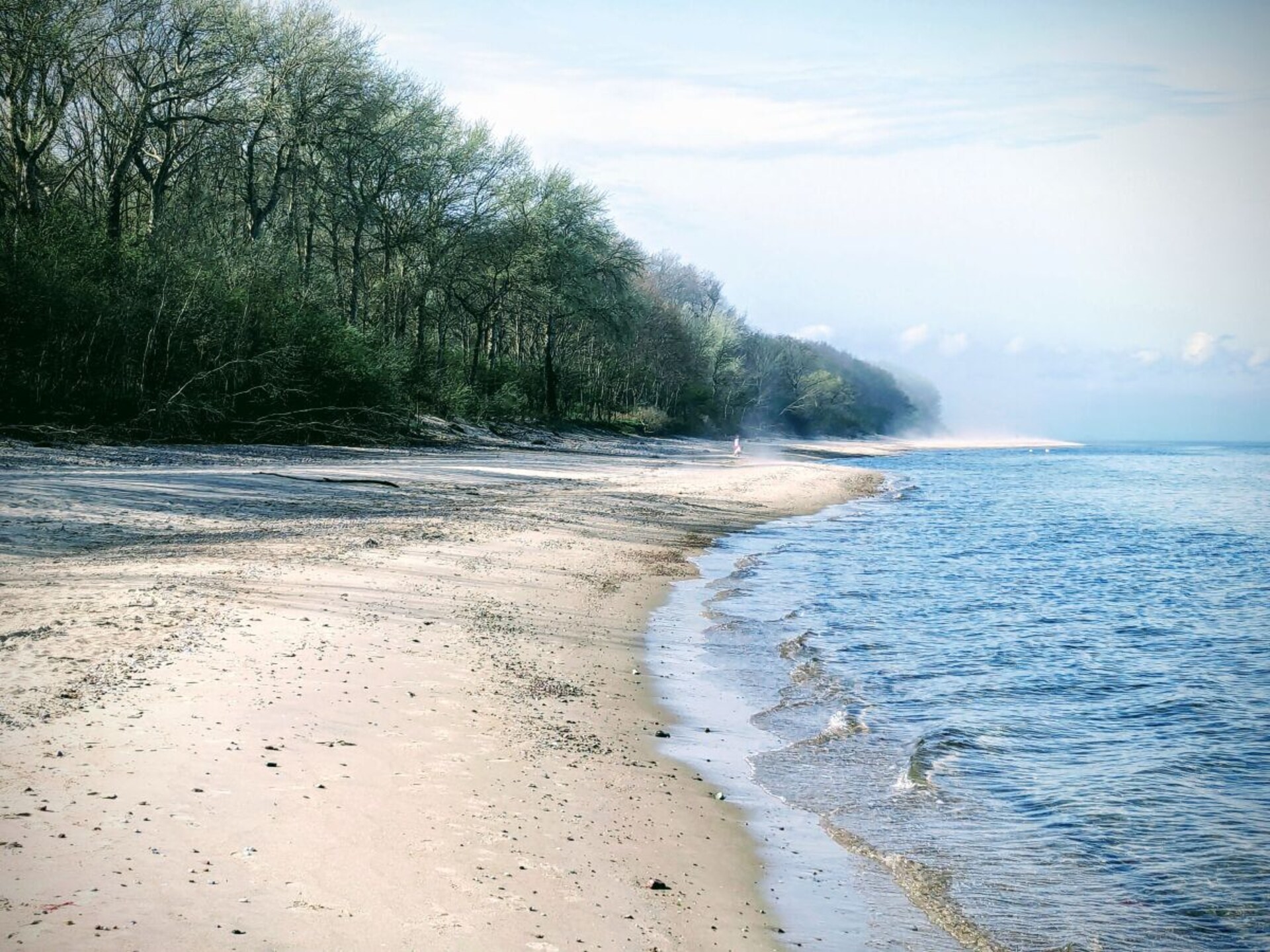 Ruim vakantiehuis voor 8 met sauna & stoombad vlakbij strand Gross Schwansee - foto 13
