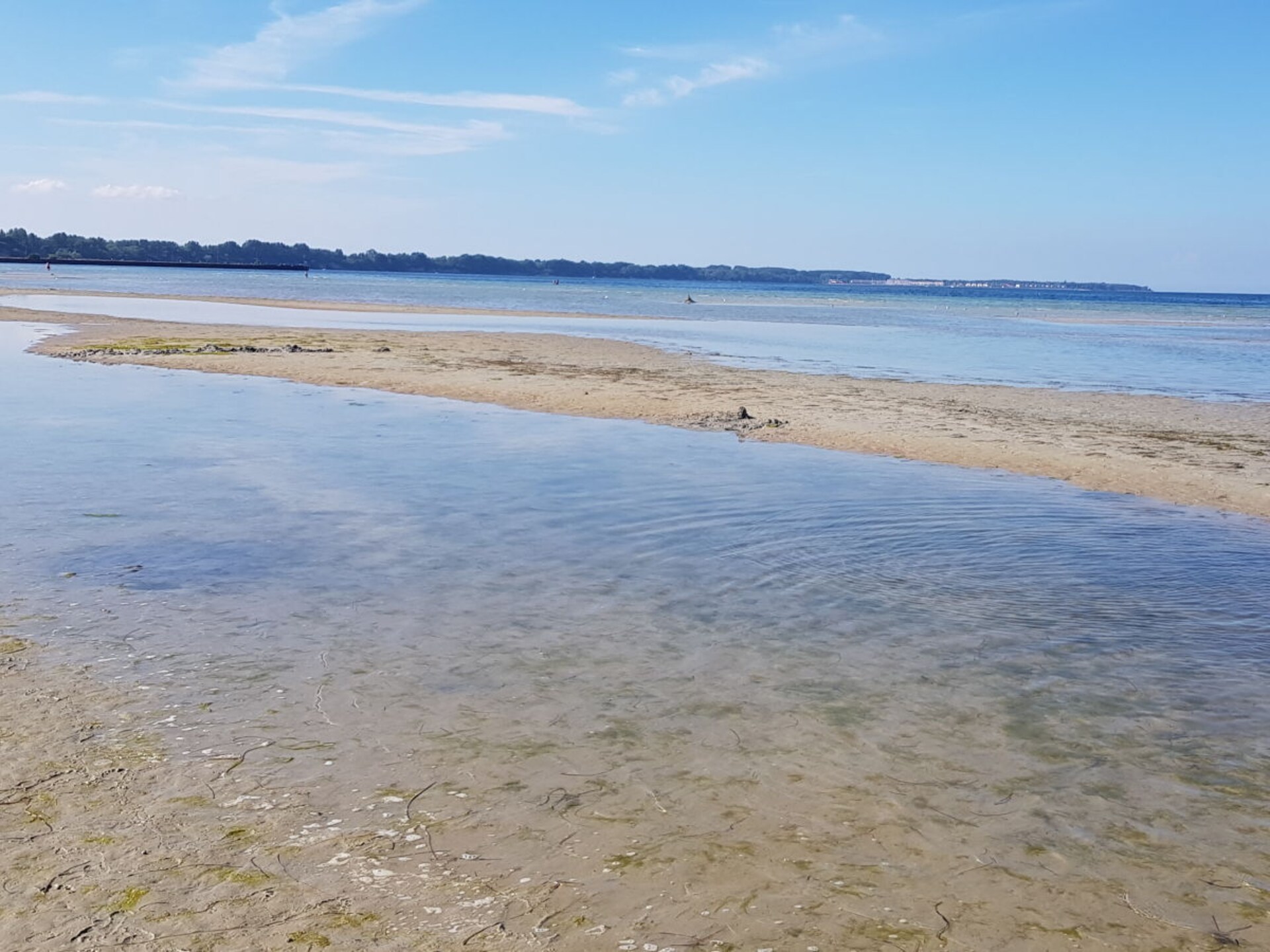 Ruim vakantiehuis voor 8 met sauna & stoombad vlakbij strand Gross Schwansee - foto 31