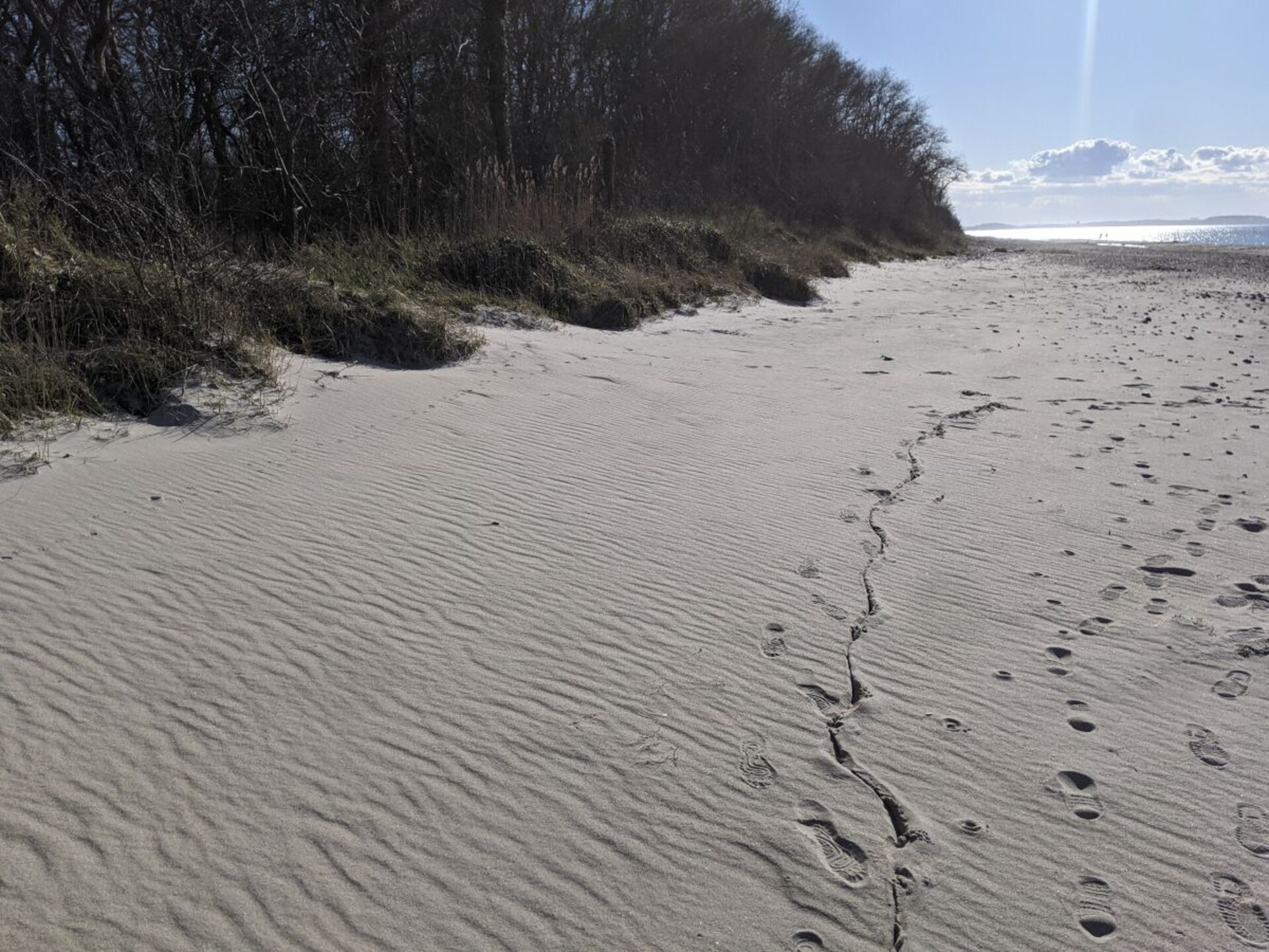 Ruim vakantiehuis voor 8 met sauna & stoombad vlakbij strand Gross Schwansee - foto 33