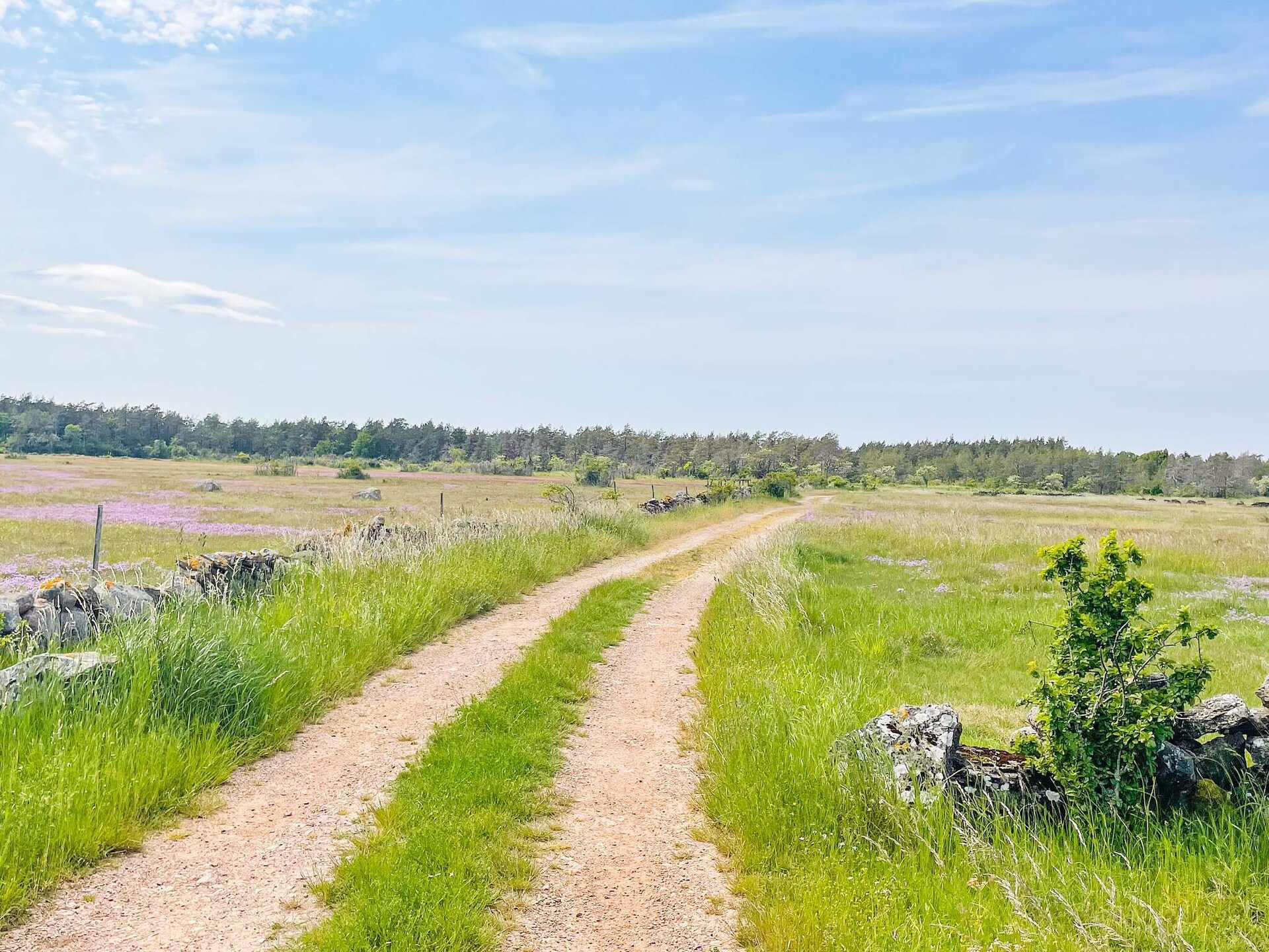 Vakantiehuis in Löttorp op 1,0 km van het meer - foto 12