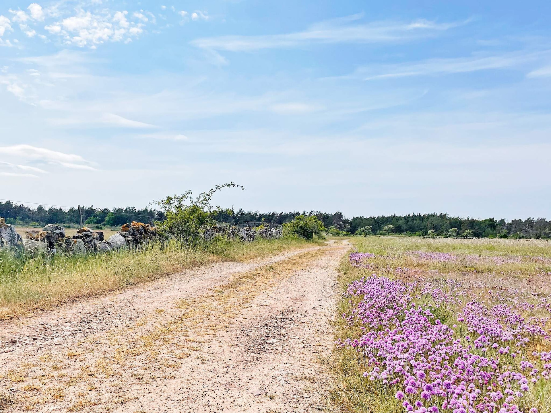 Vakantiehuis in Löttorp op 1,0 km van het meer - foto 14