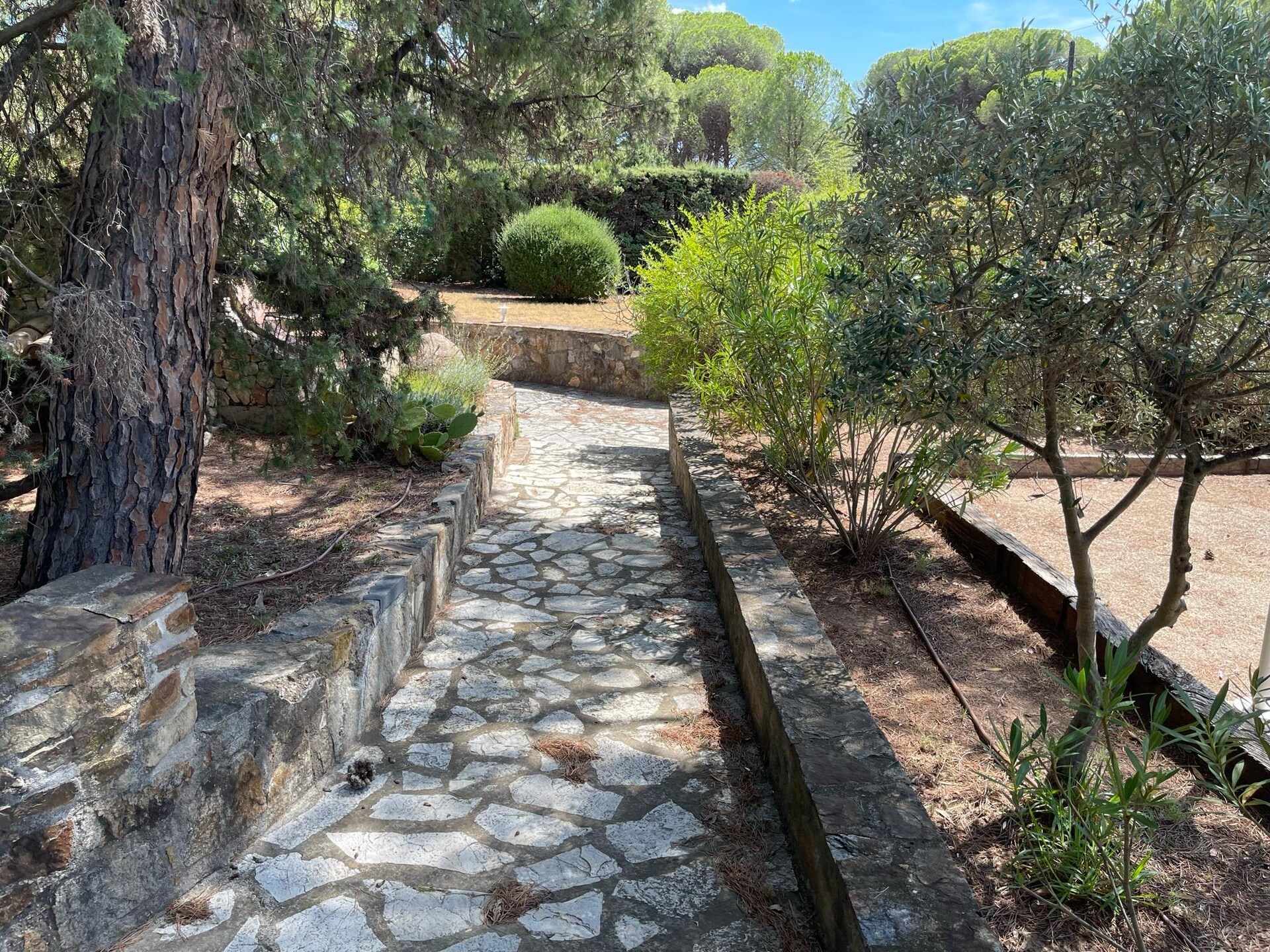 Villa Polau: Ruim vakantiehuis met privézwembad in de bossen van Vidauban - foto 22