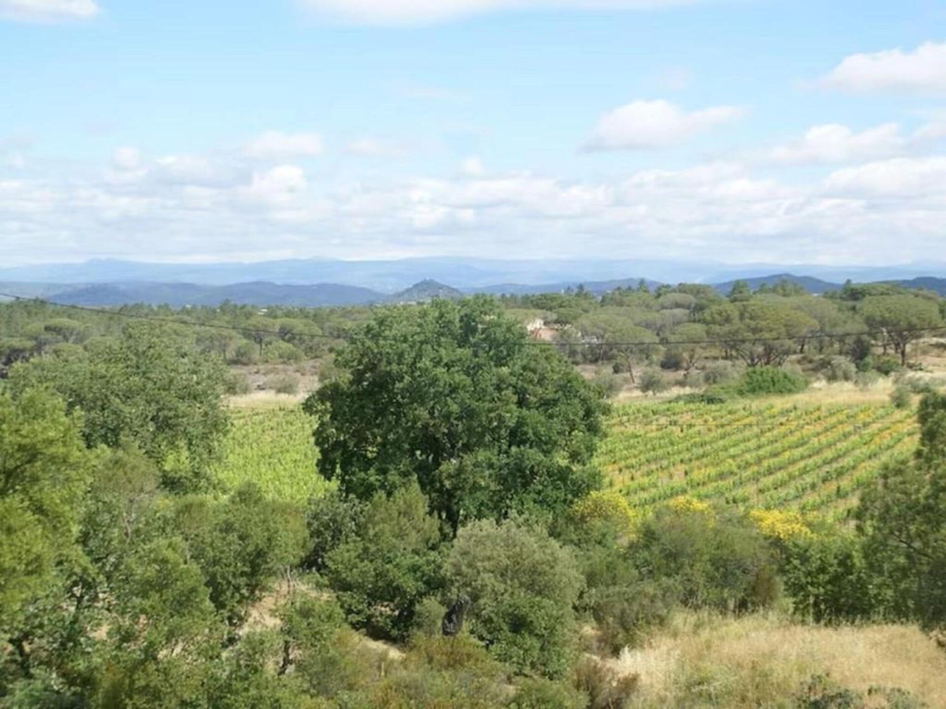 Villa Polau: Ruim vakantiehuis met privézwembad in de bossen van Vidauban - foto 34