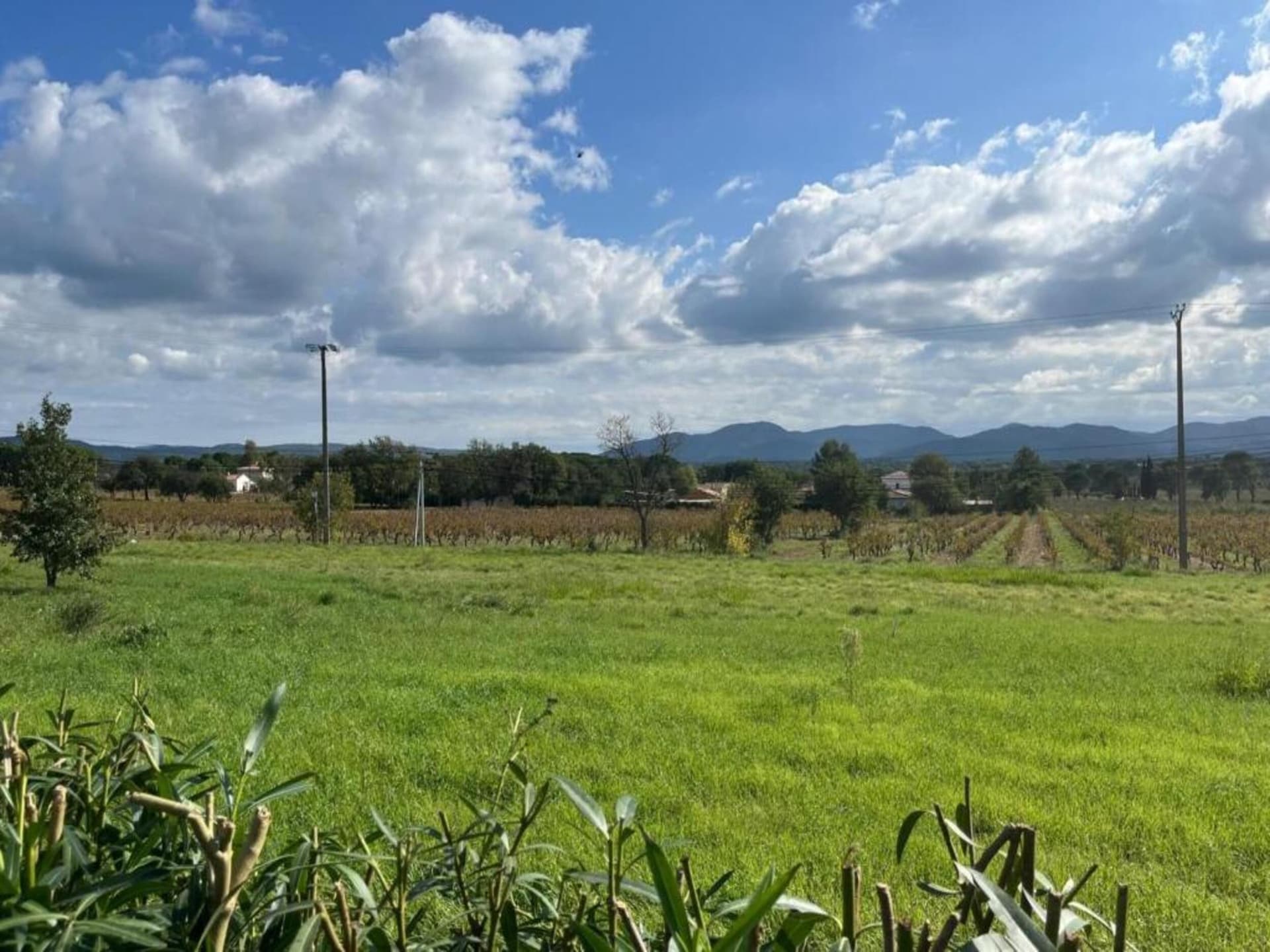 Villa Polau: Ruim vakantiehuis met privézwembad in de bossen van Vidauban - foto 38