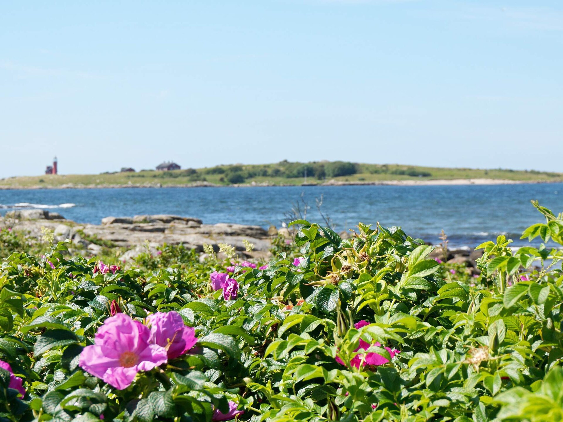 Licht vakantiehuis nabij Tylösand strand & golf in Halmstad - foto 10