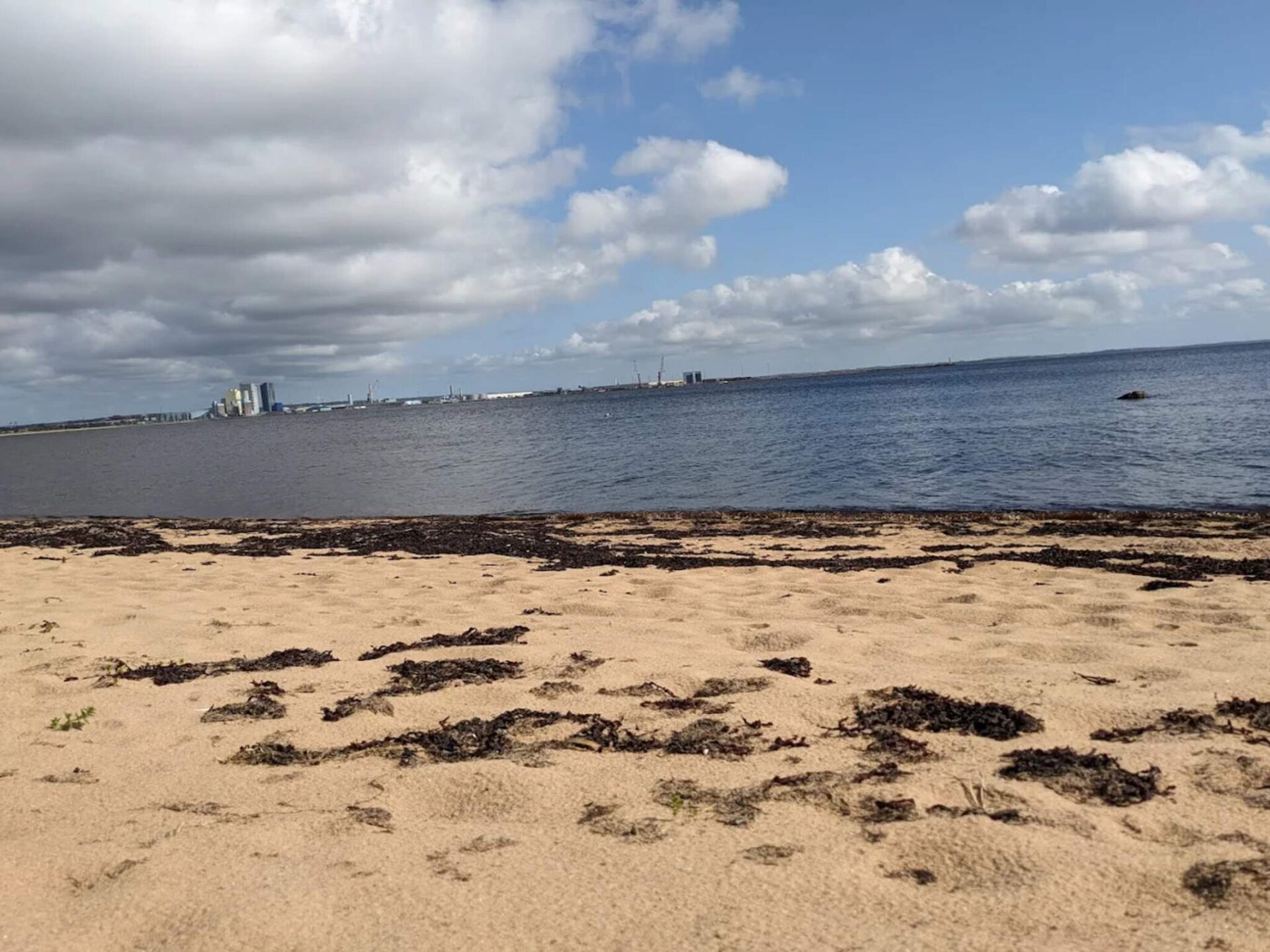 Licht vakantiehuis nabij Tylösand strand & golf in Halmstad - foto 15