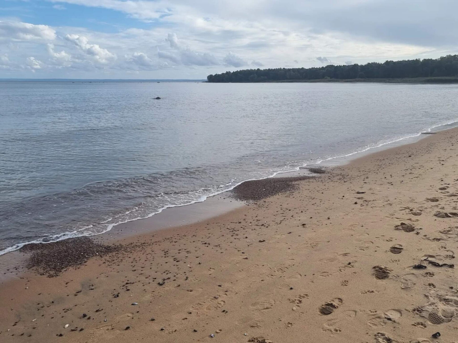 Licht vakantiehuis nabij Tylösand strand & golf in Halmstad - foto 16