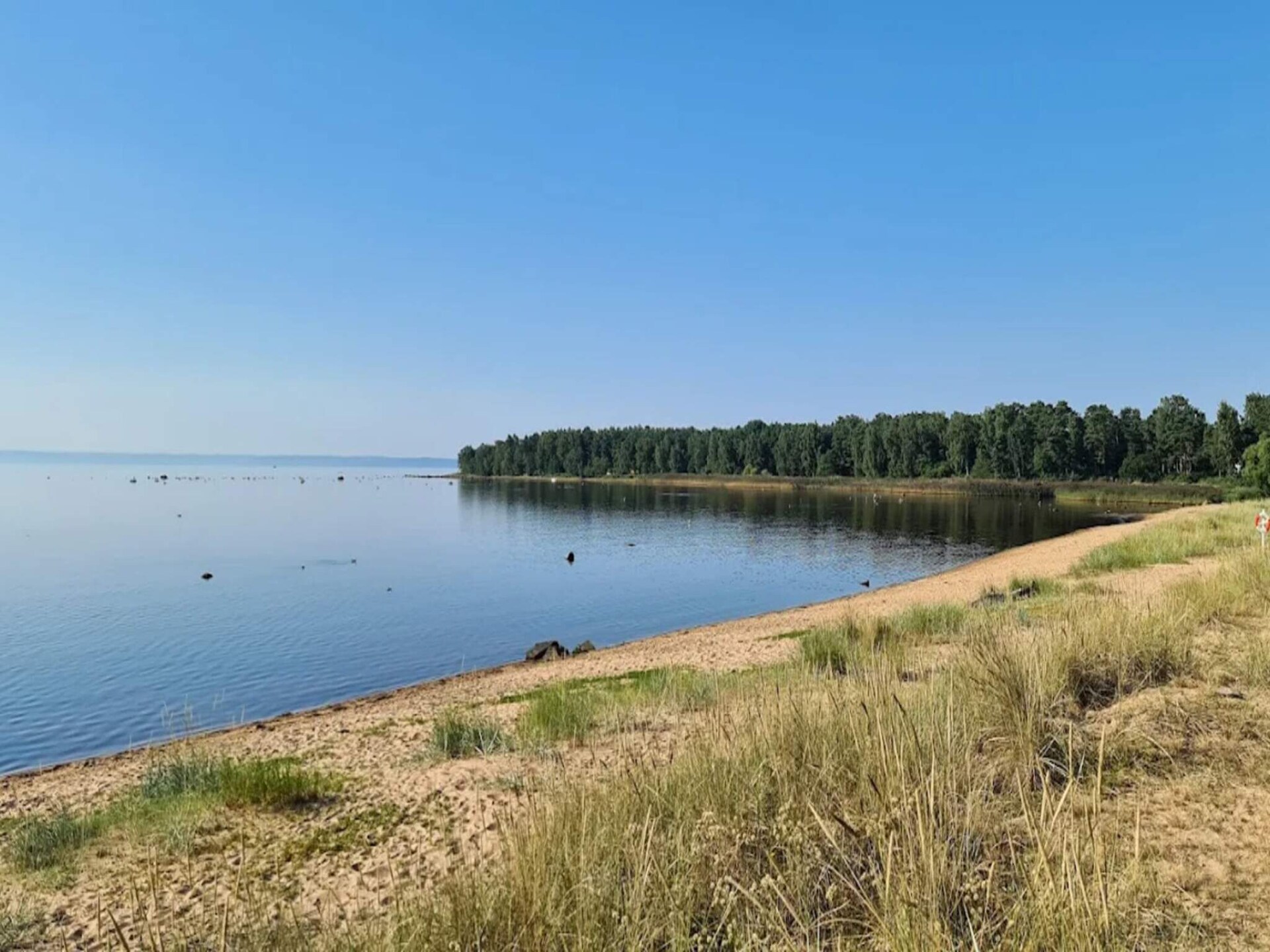Licht vakantiehuis nabij Tylösand strand & golf in Halmstad - foto 19
