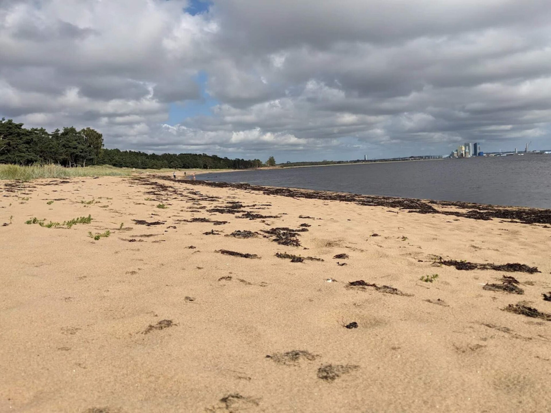Licht vakantiehuis nabij Tylösand strand & golf in Halmstad - foto 20