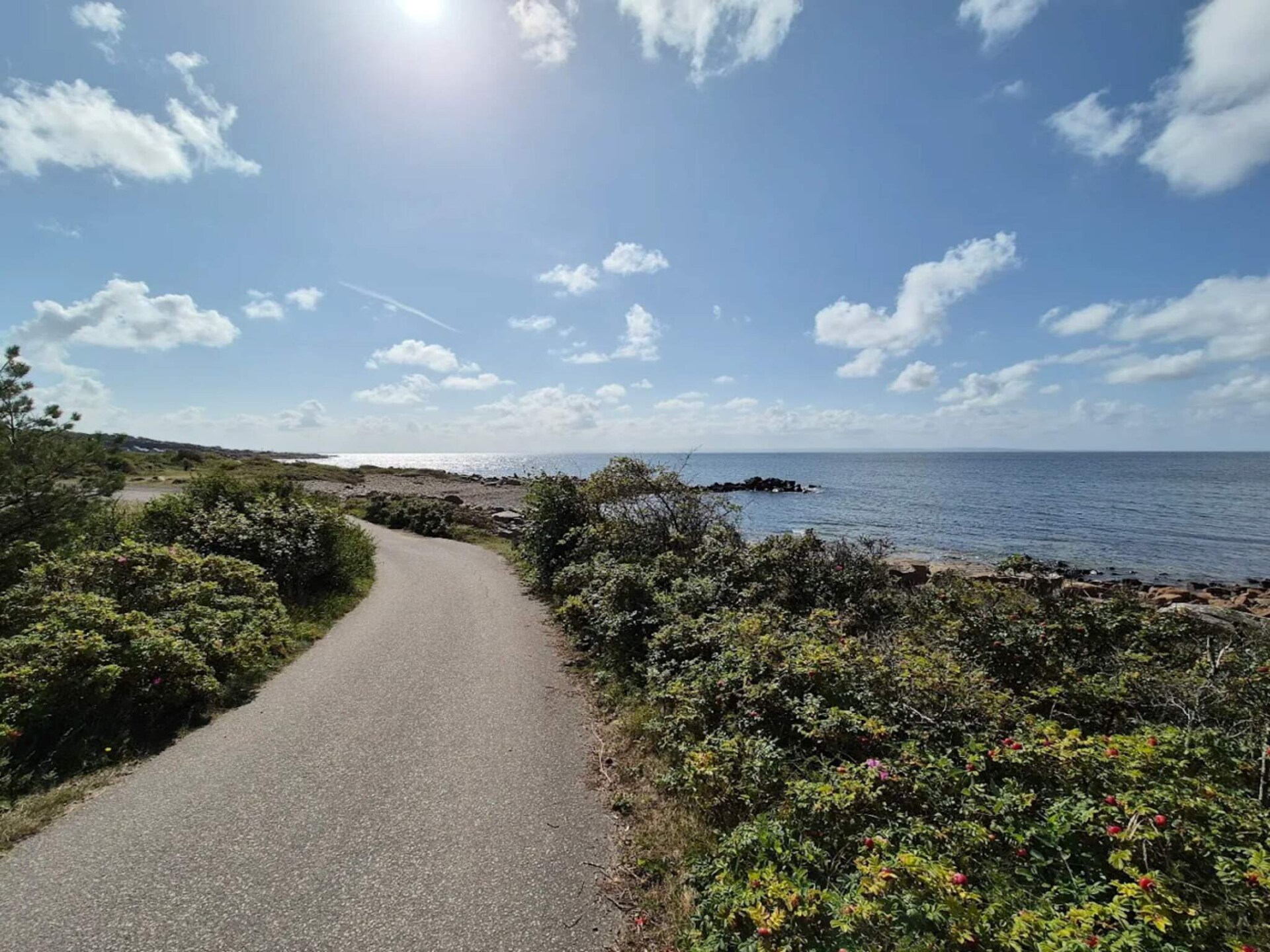 Licht vakantiehuis nabij Tylösand strand & golf in Halmstad - foto 28