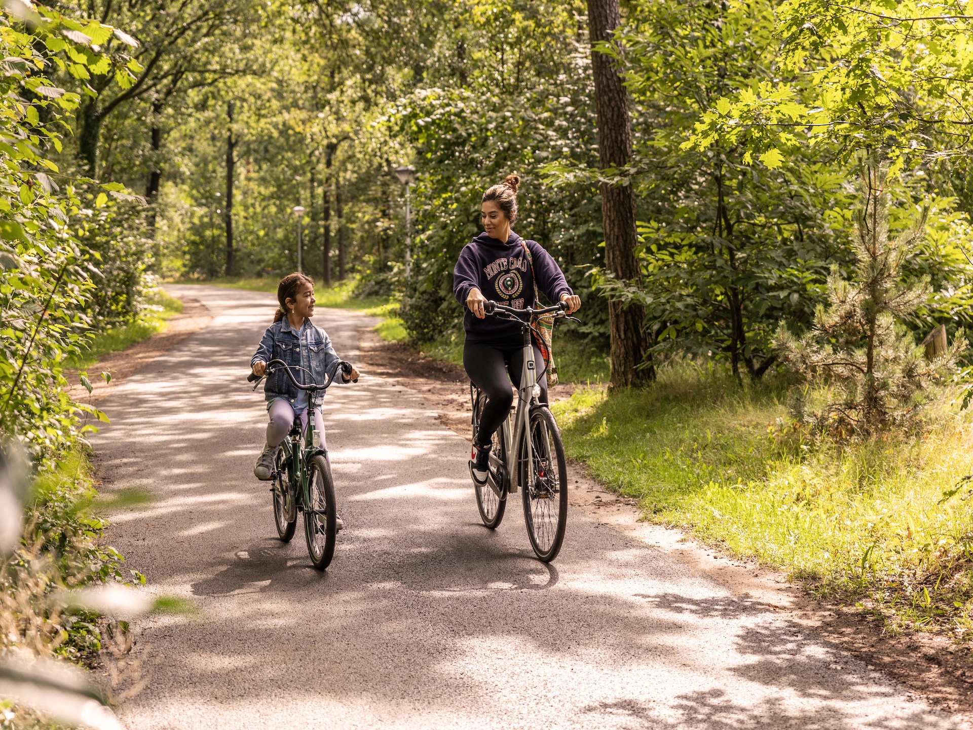 Vrijstaande bosbungalow op Parc Heihaas in Putten met open haard en hondvriendelijk terrein - foto 39