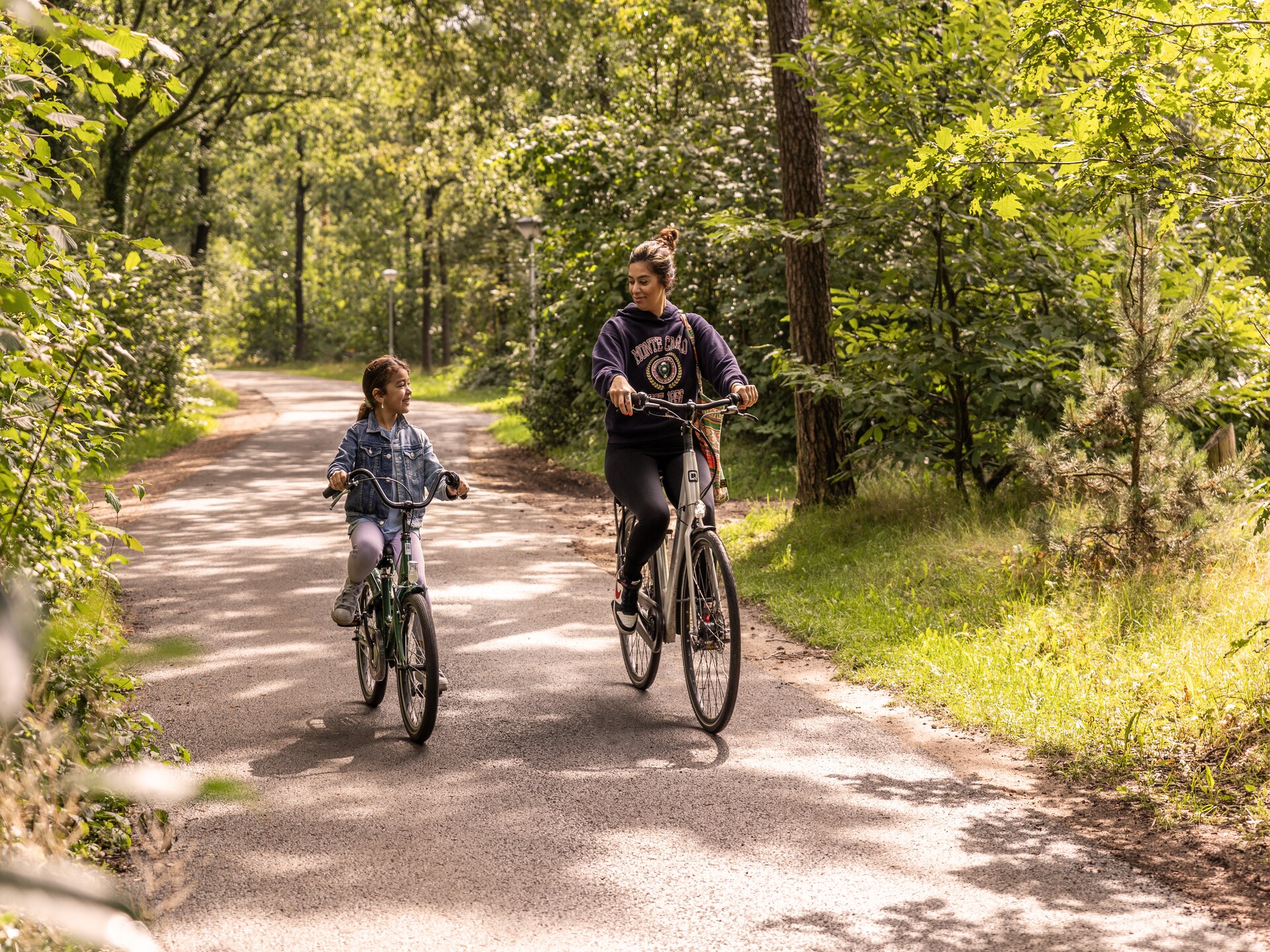 Vrijstaande bungalow Parc Heihaas 4: huisdiervriendelijk genieten op de Veluwe - foto 39