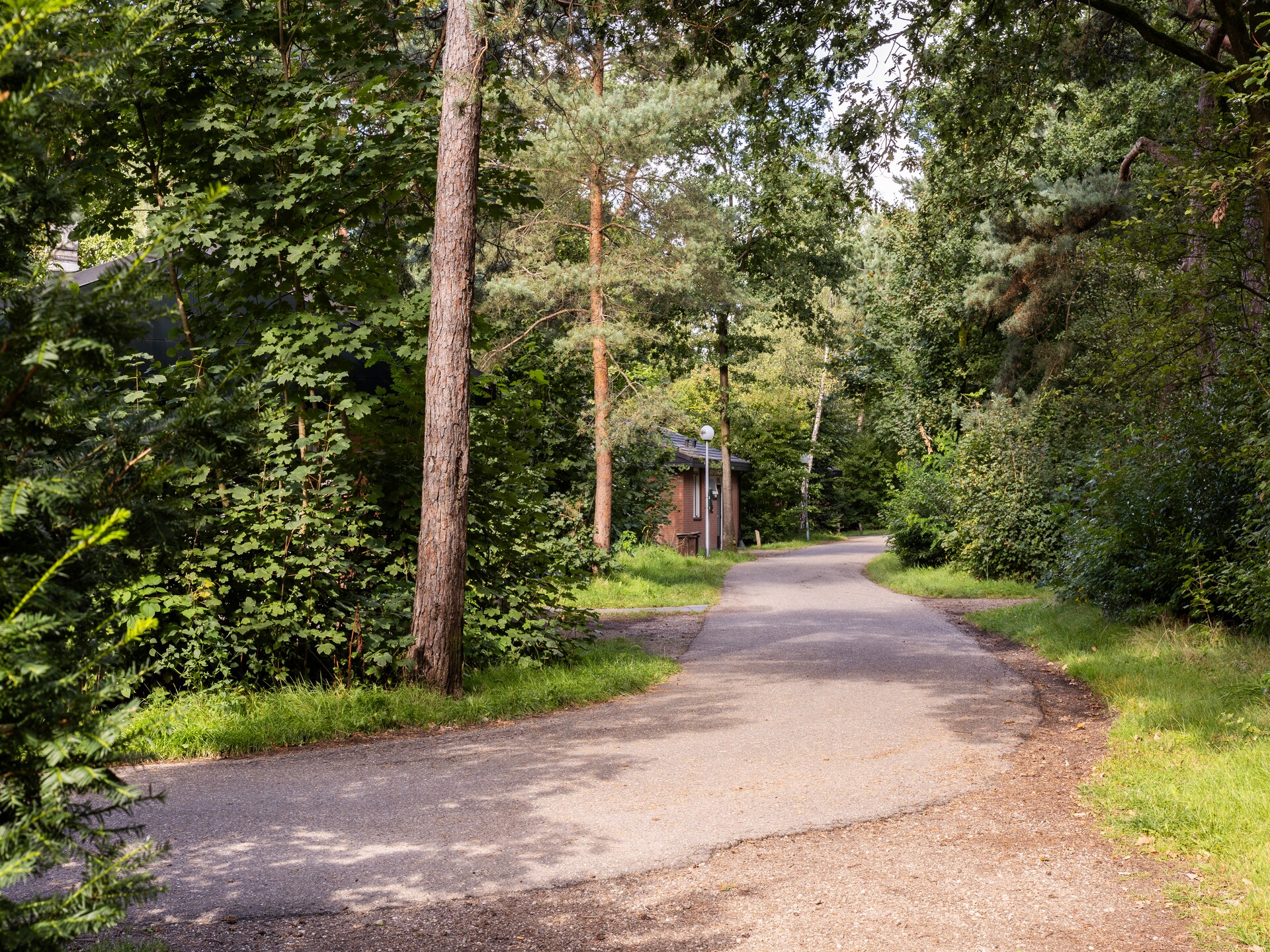 Vrijstaande boshut met haard op rustig vakantiepark bij Putten - foto 37