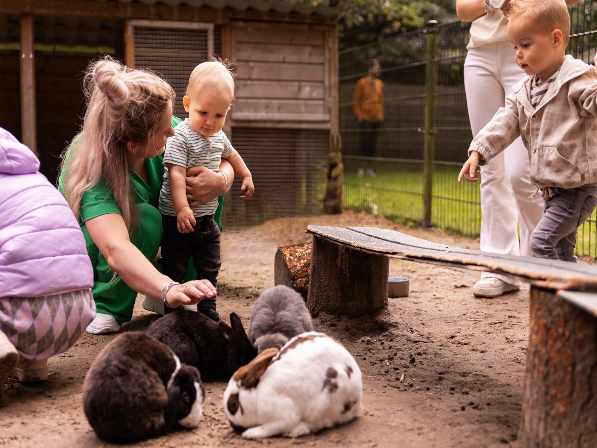 Charmante boshut op de Veluwe bij Parc Heihaas in Putten - foto 13
