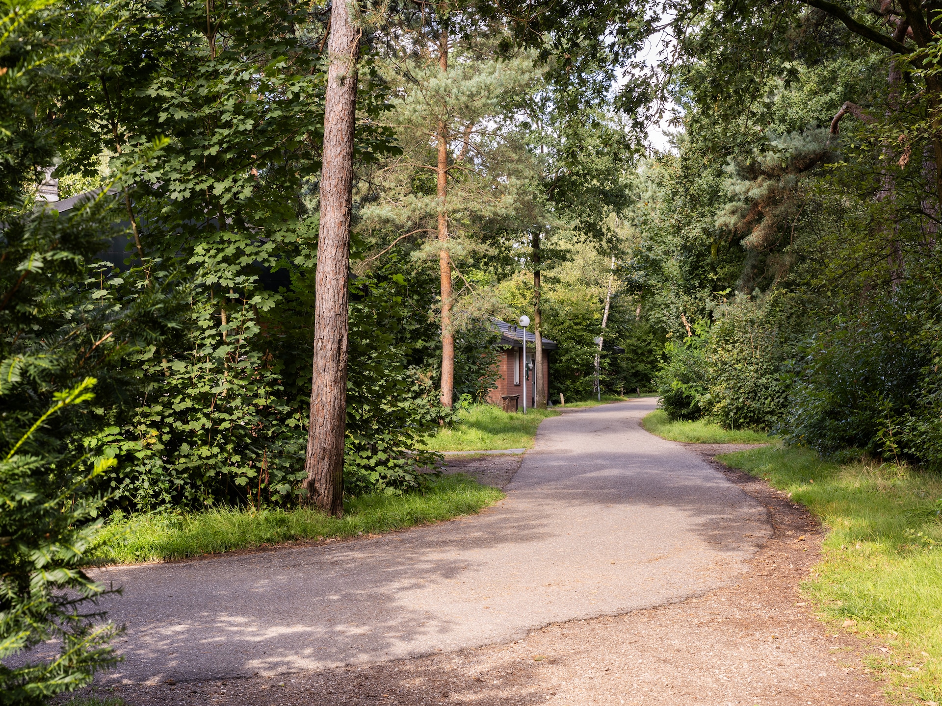 Vrijstaande bungalow voor 8 personen op bosrijk vakantiepark Parc Heihaas - foto 35