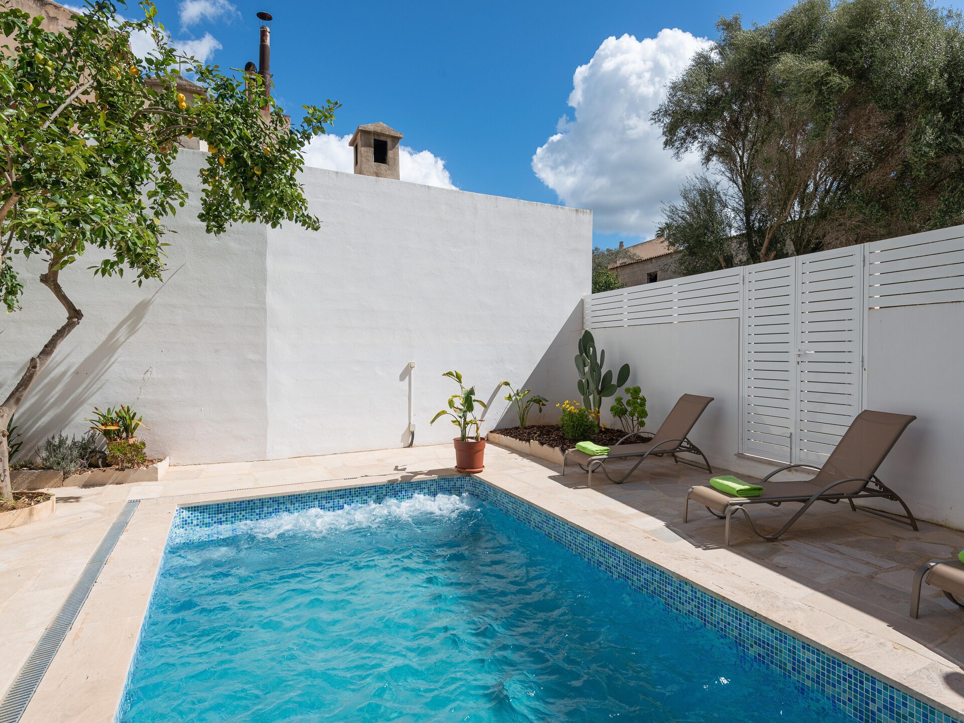 Stijlvol dorpshuis met patio, privézwembad en jacuzzi in Maria de la Salut - foto 11