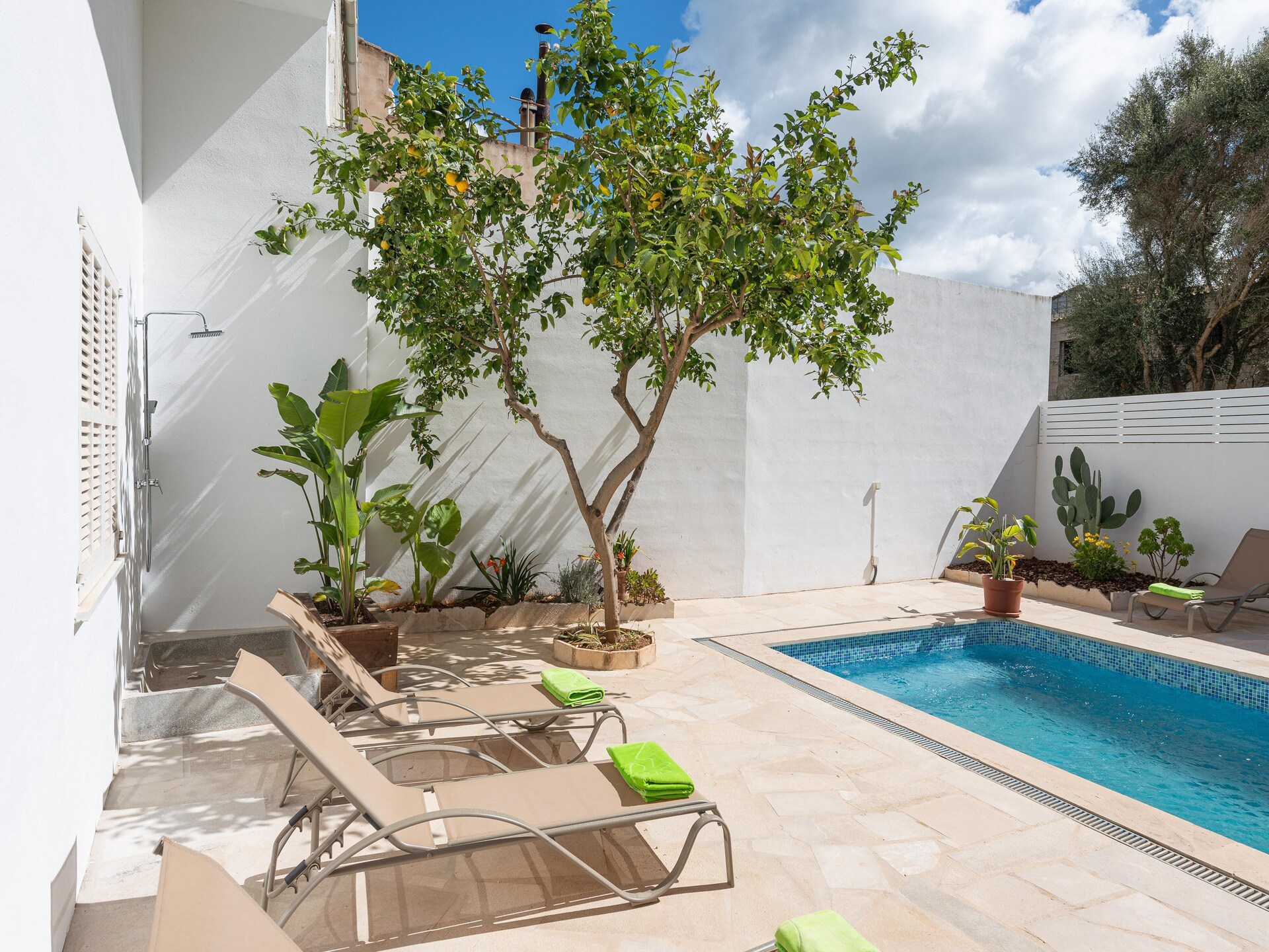 Stijlvol dorpshuis met patio, privézwembad en jacuzzi in Maria de la Salut - foto 8