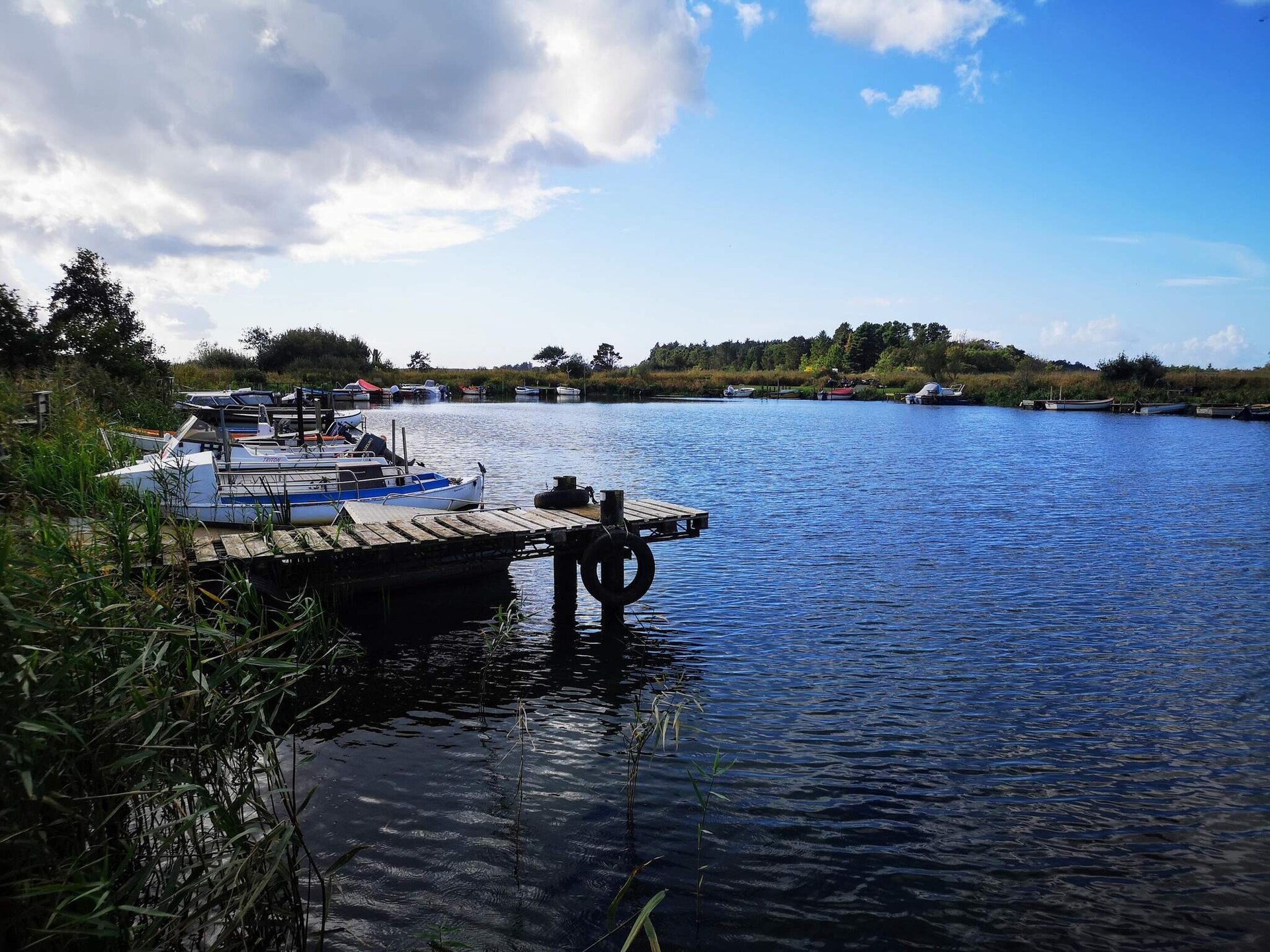 Knus vrijstaand vakantiehuis bij Bork Havn met zonnig terras - foto 14