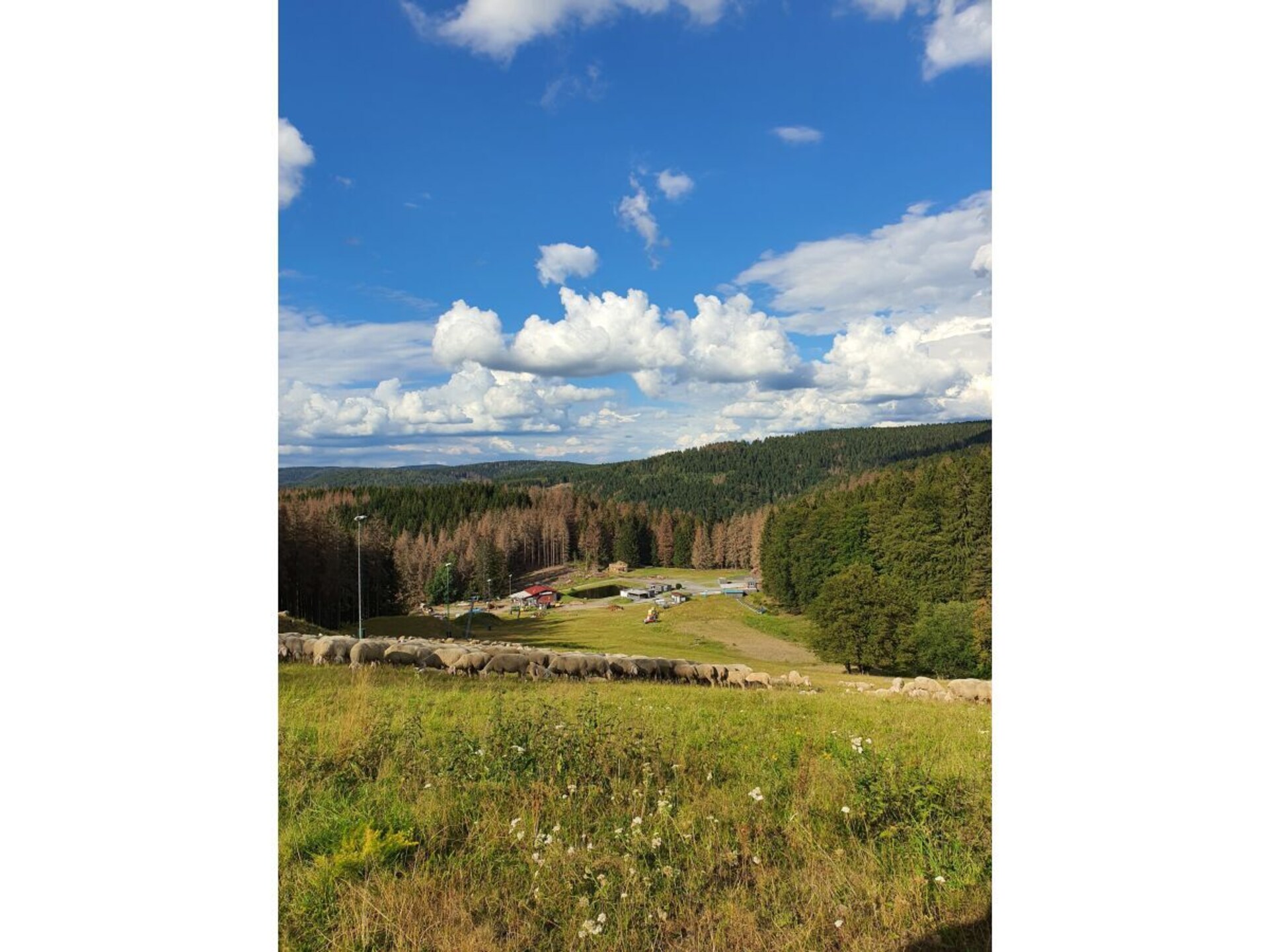 Rustiek vakantiehuis aan de bosrand met weids bergpanorama in Schnett - foto 22