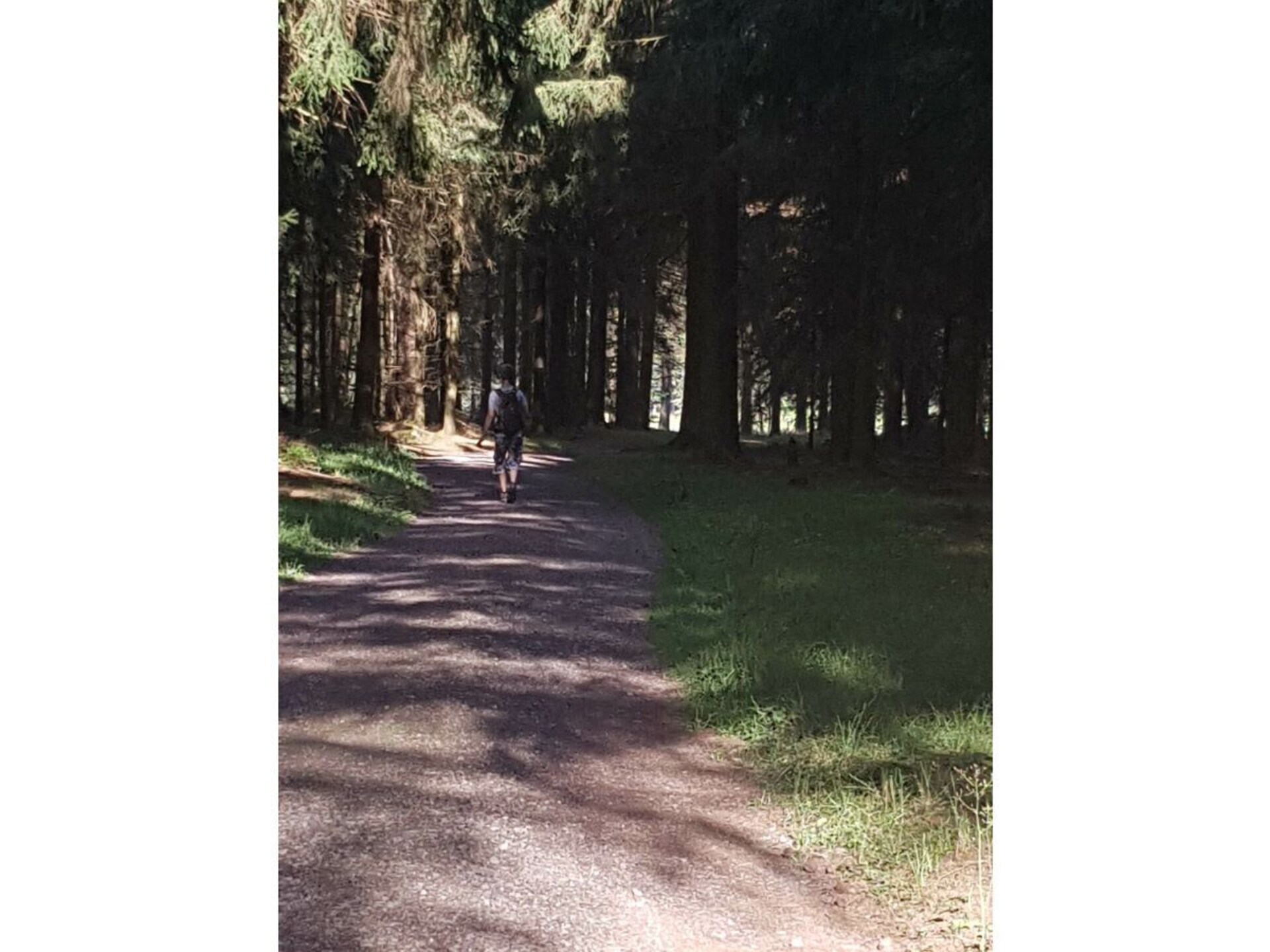 Rustiek vakantiehuis aan de bosrand met weids bergpanorama in Schnett - foto 26