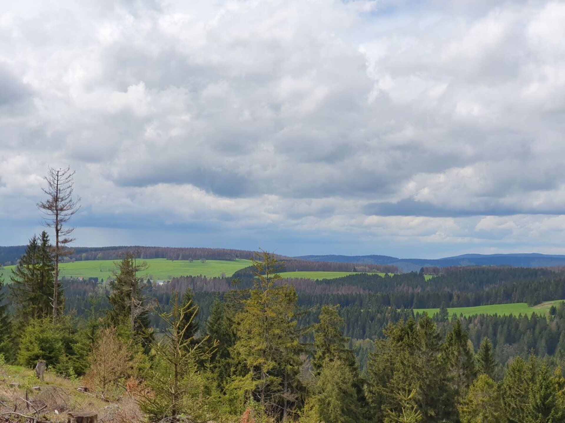 Rustiek vakantiehuis aan de bosrand met weids bergpanorama in Schnett - foto 28