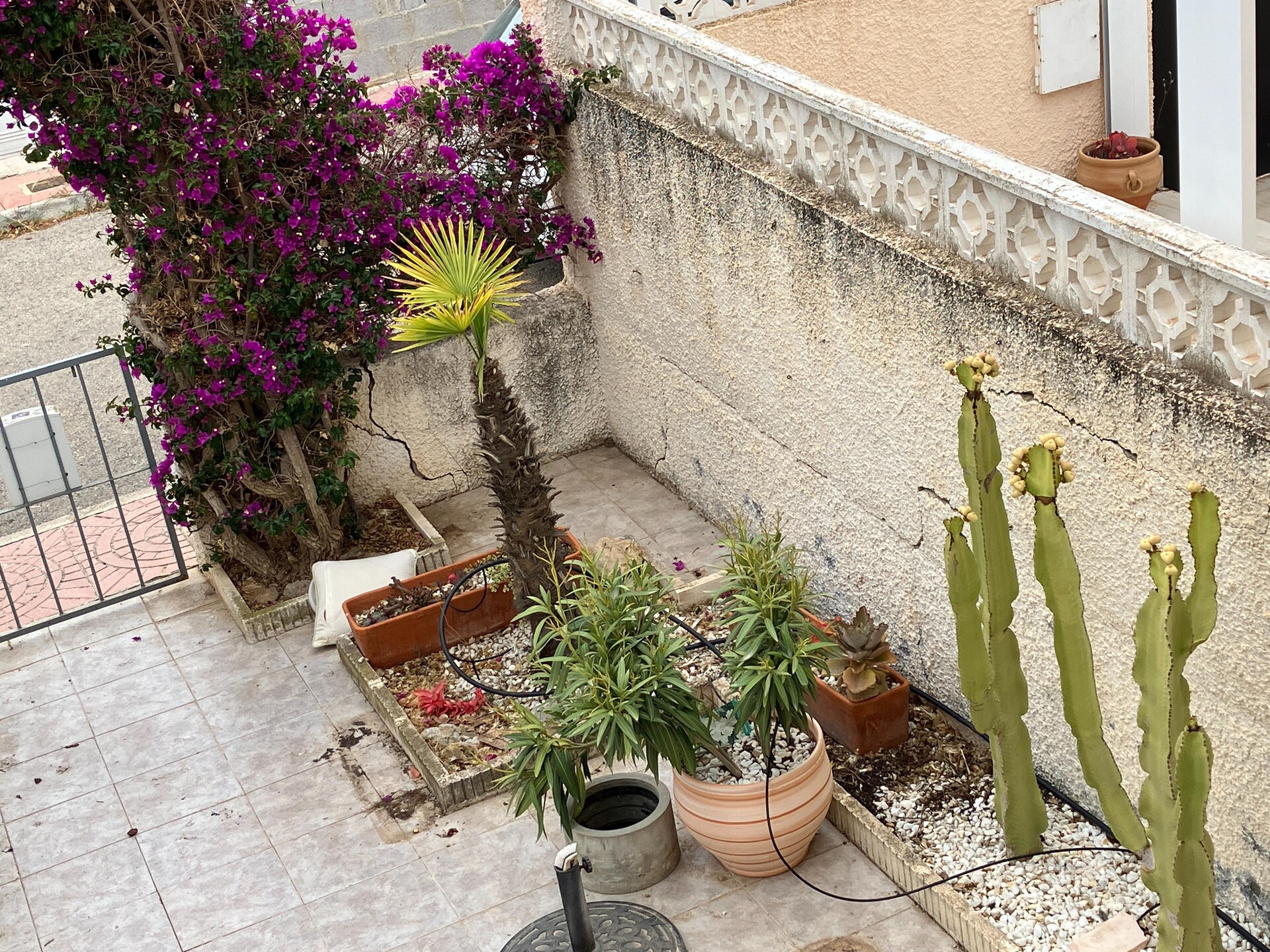 Casita Nicoline: Knus vakantiehuis voor 2 aan de golfbaan in Ciudad Quesada - foto 40