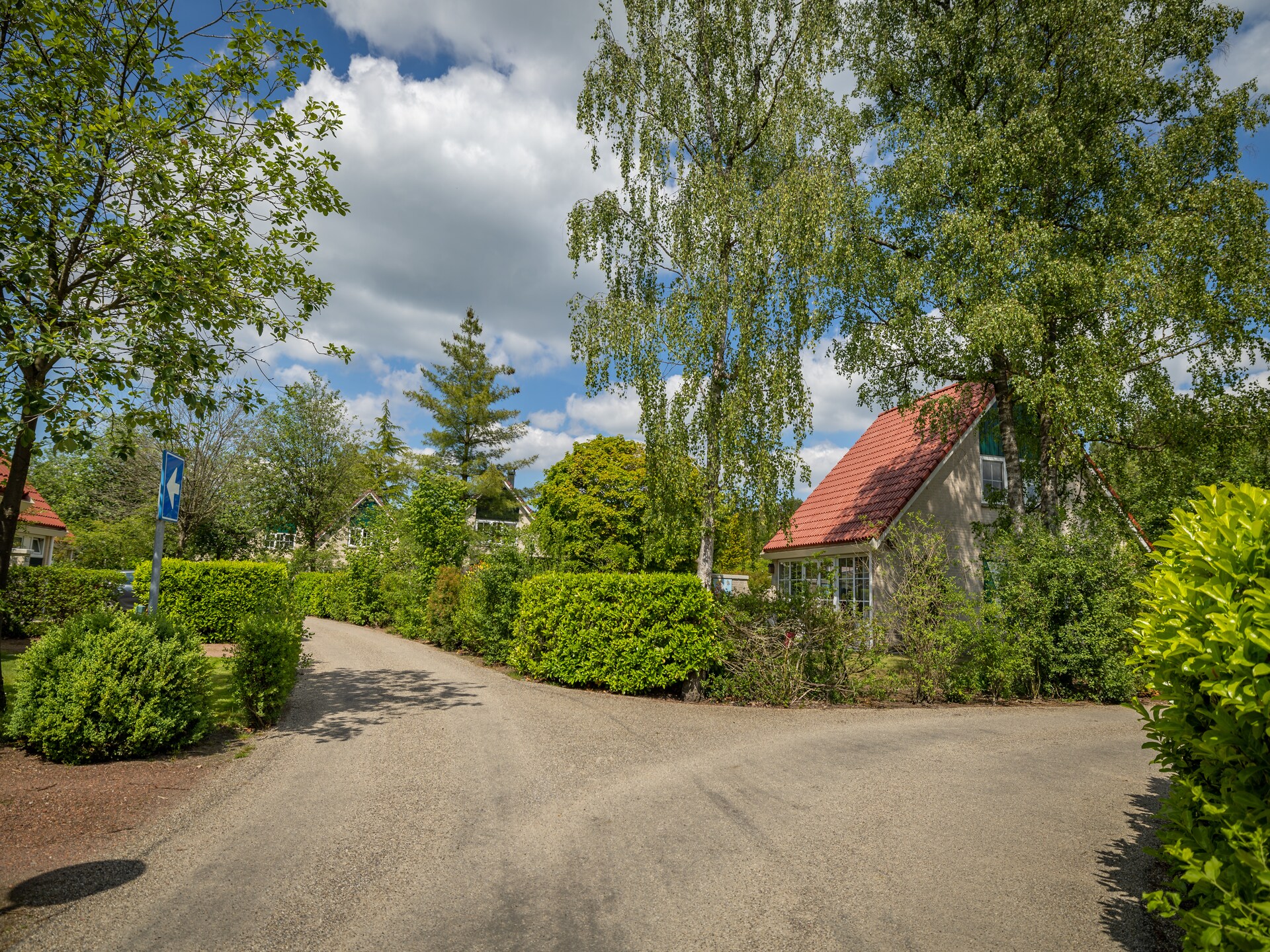 Vrijstaand vakantiehuis op Sallandse Heuvelrug, 5 pers., tuin en bos - foto 26