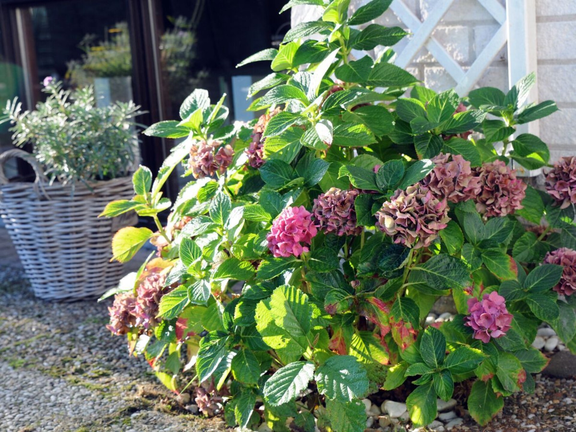 Vrijstaand vakantiehuis met open haard en grote tuin in De Cocksdorp - foto 23