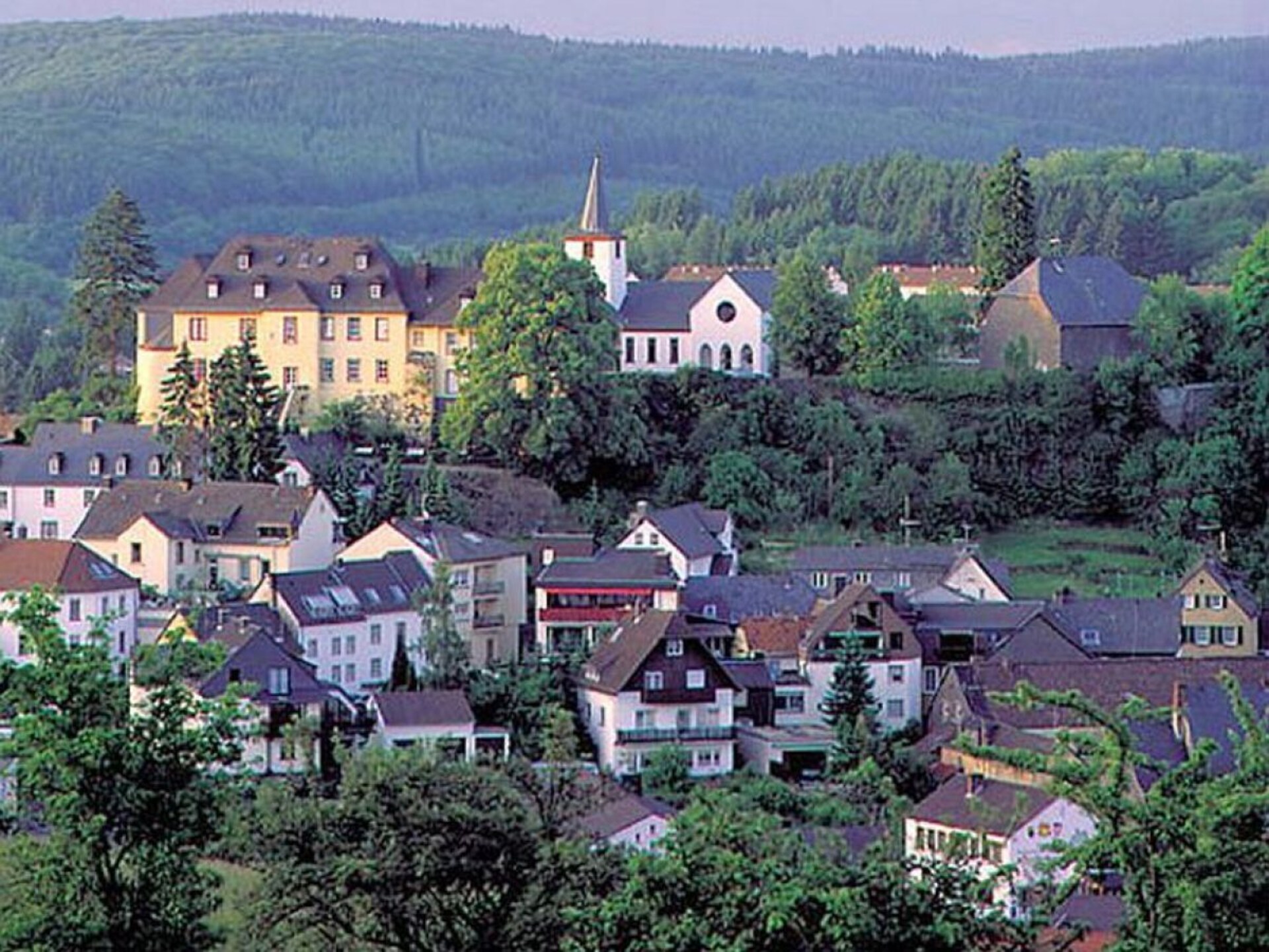 Gerennoveerd vakantiehuis met sauna in centrum Daun, Eifel - foto 22