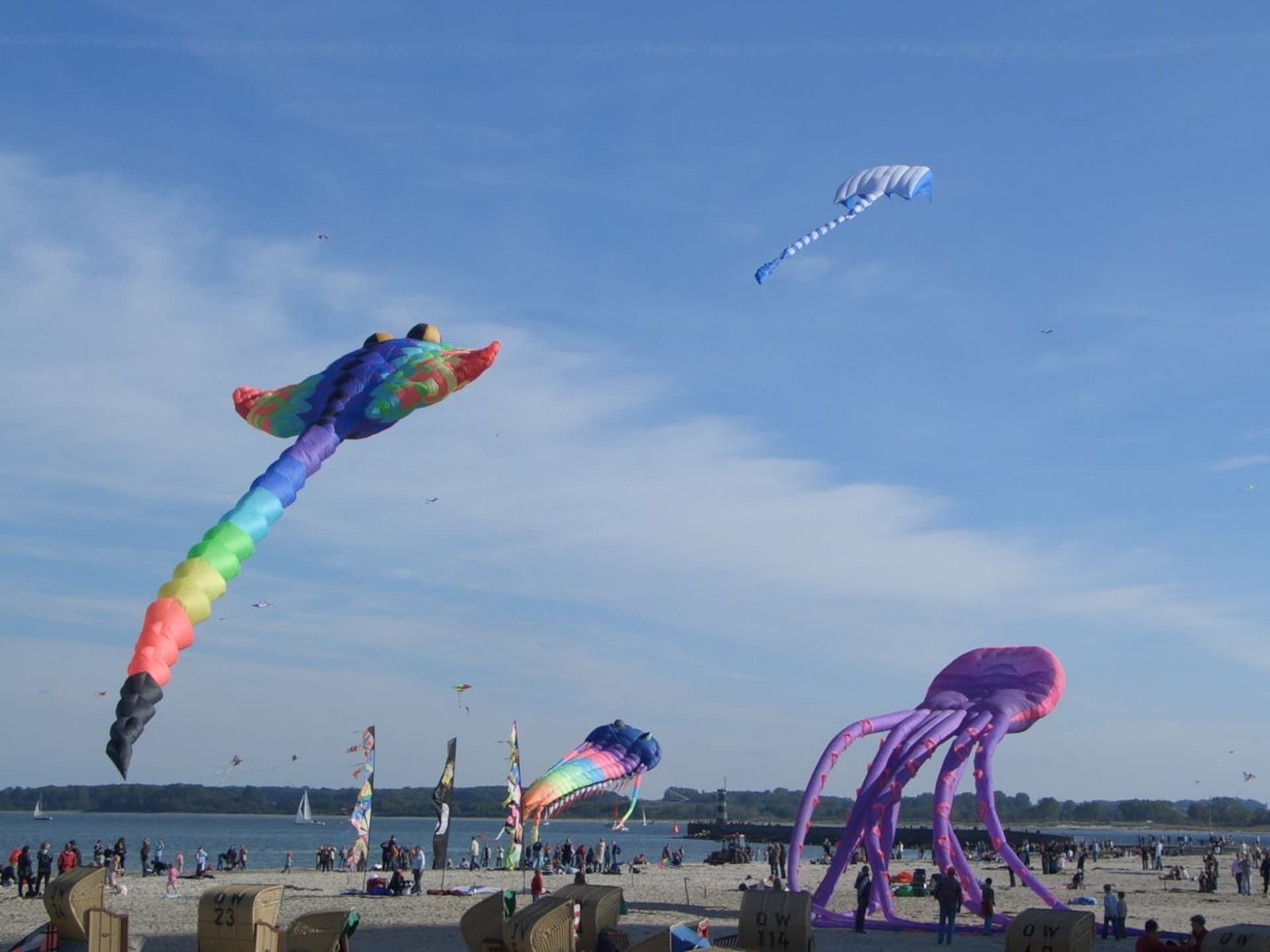 Licht appartement direct aan zee in Travemünde met terras en strandstoel - foto 9
