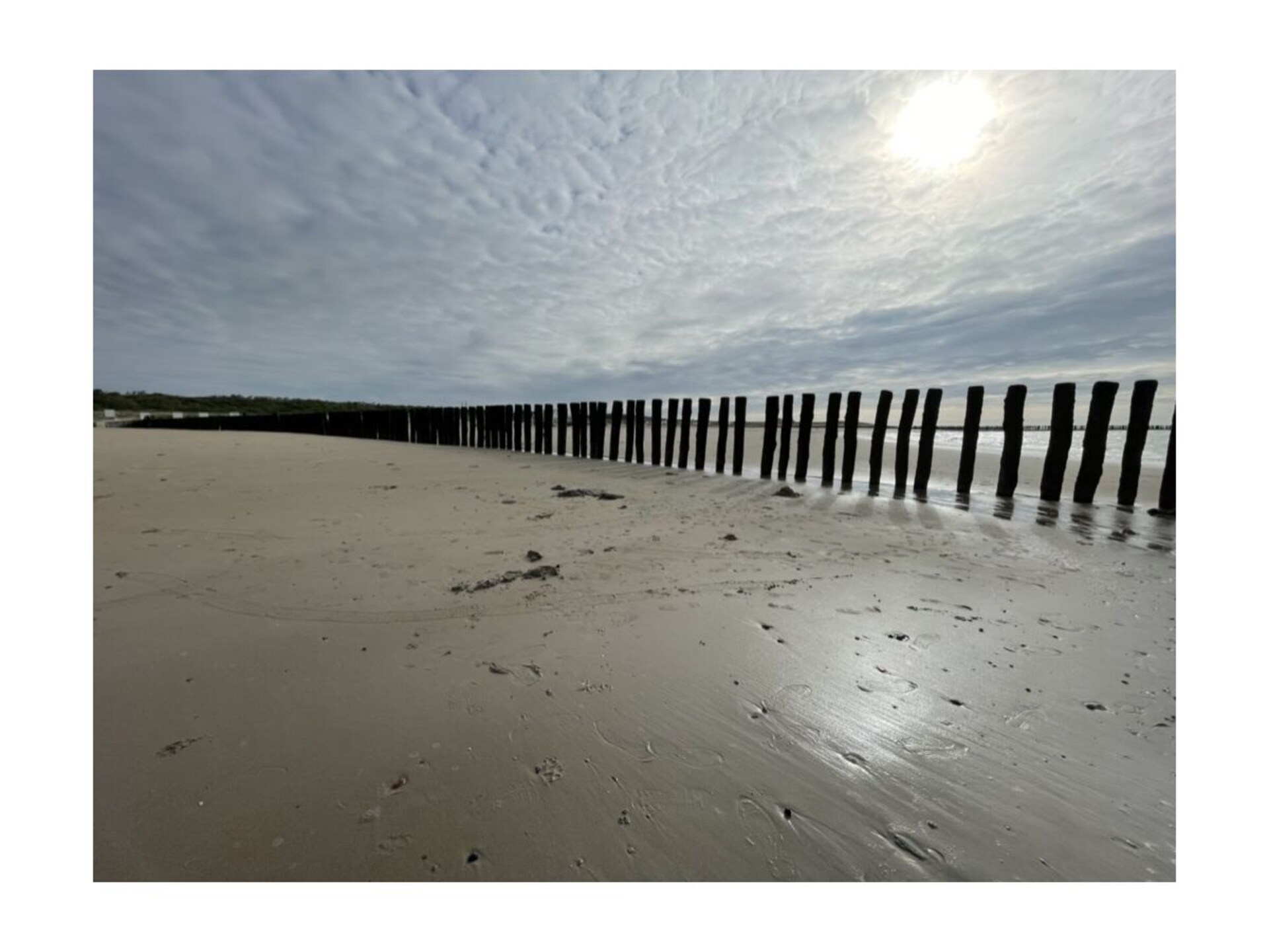 Sfeervol vakantiehuis met huisdieren toegestaan, 1 km van het strand in Breskens - foto 16