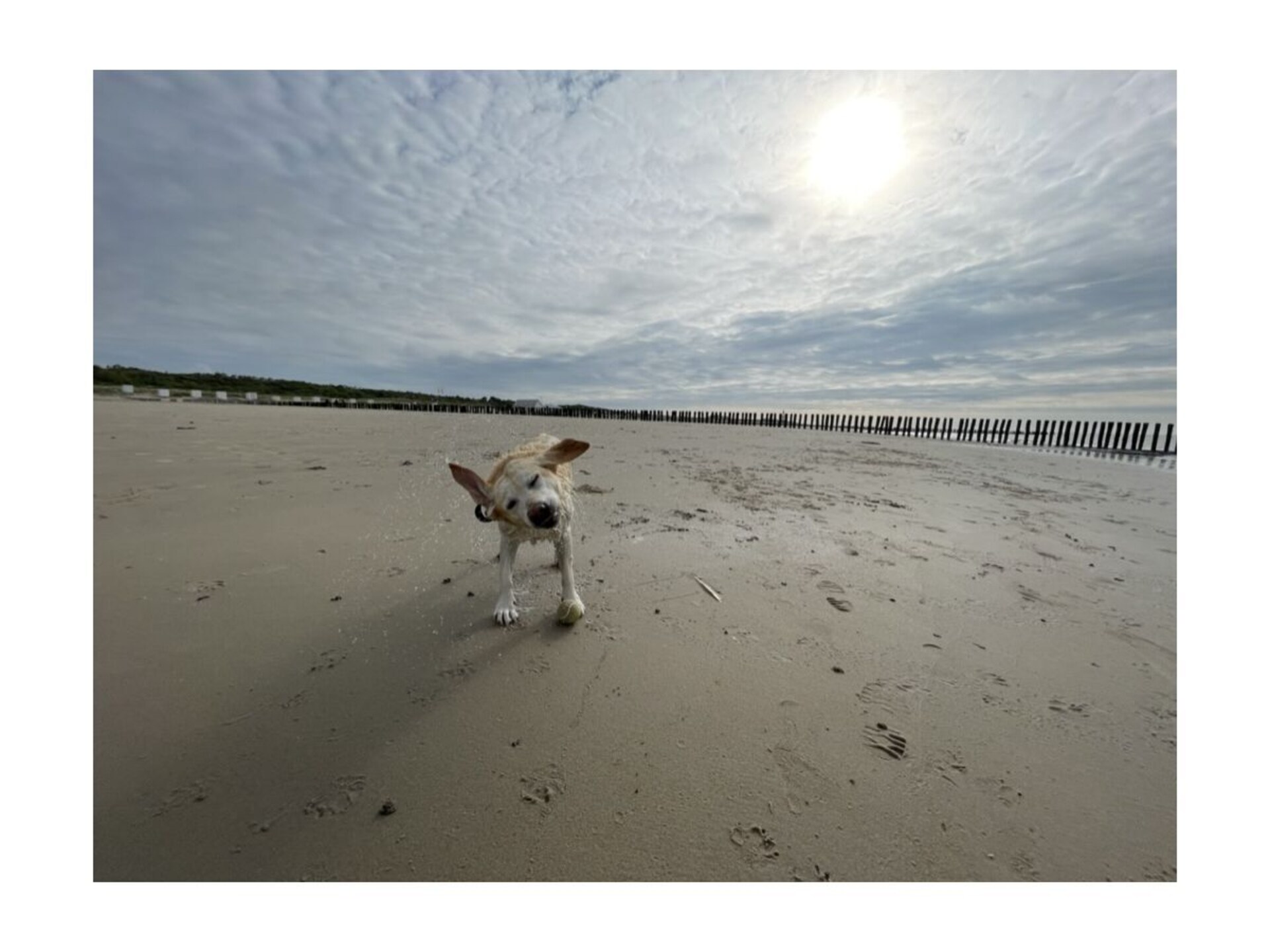 Sfeervol vakantiehuis met huisdieren toegestaan, 1 km van het strand in Breskens - foto 17